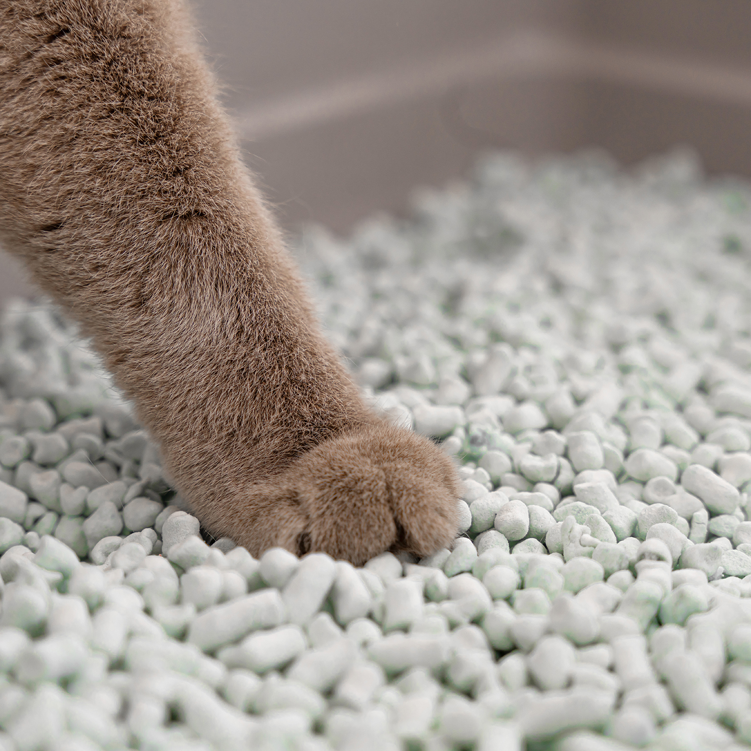 Бумажный комкующийся наполнитель Cat's choice с цветовым индикатором комка 6 л/1,5 кг