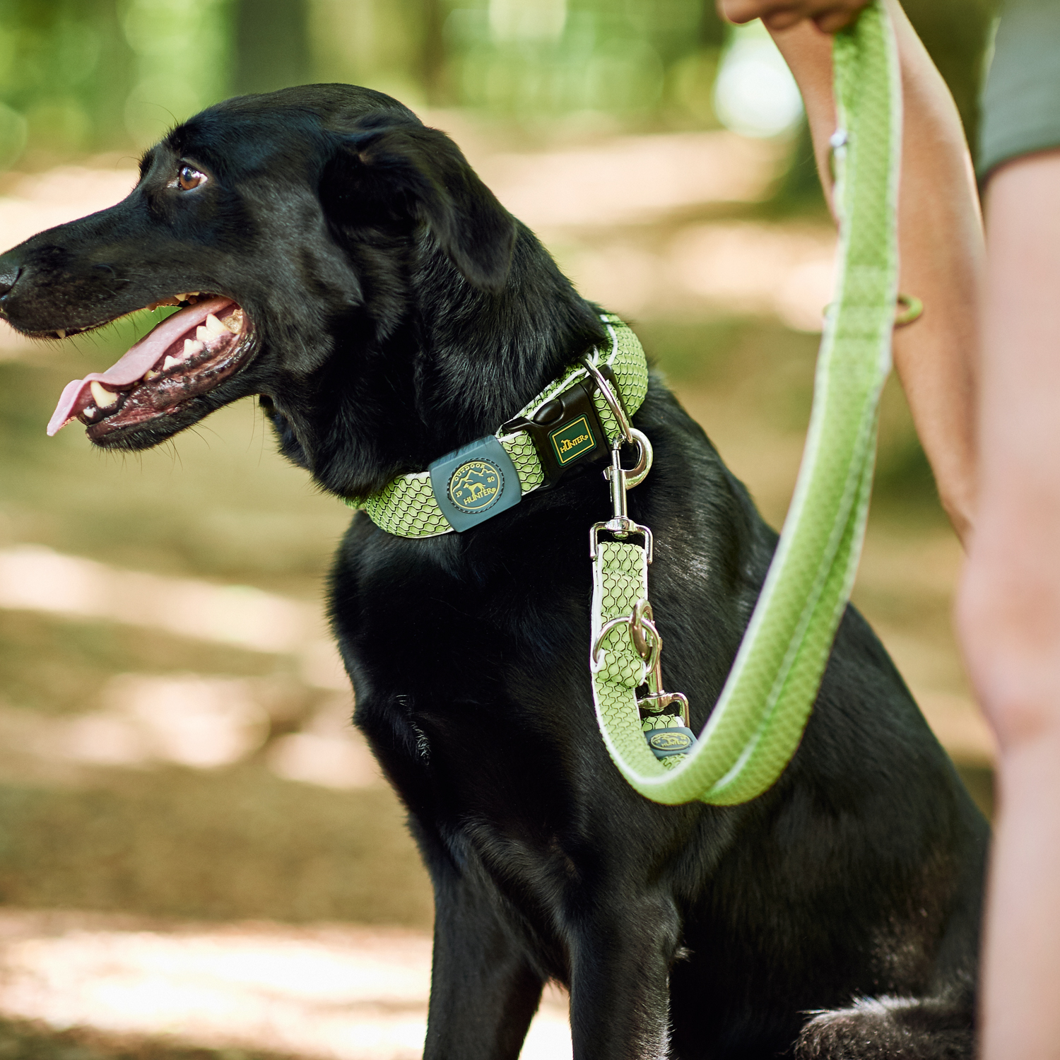 Hunter поводок-перестежка для собак Hilo 20 / 200 нейлон лайм СКИДКА 50%