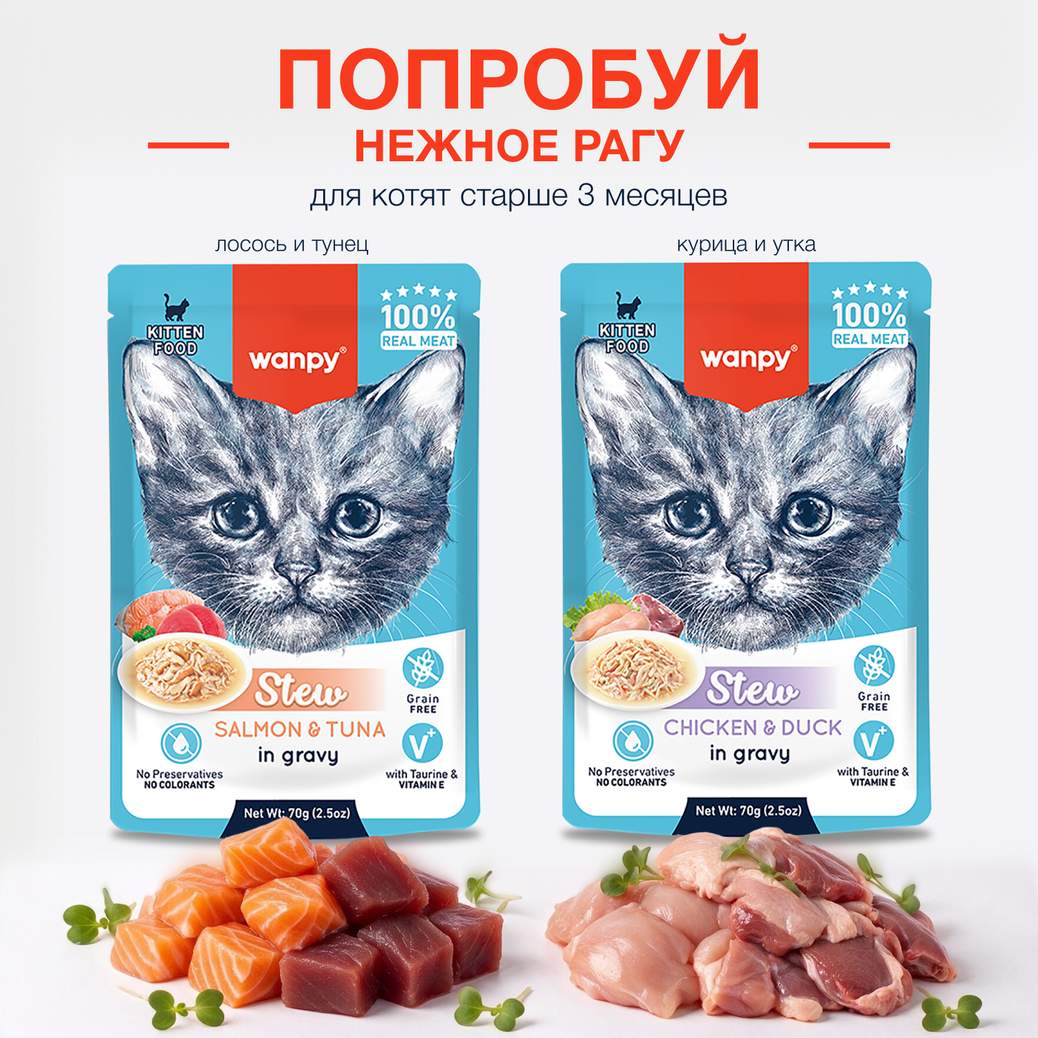 Wanpy Cat Лакомство для котят «нежное пюре» из лосося 70 г