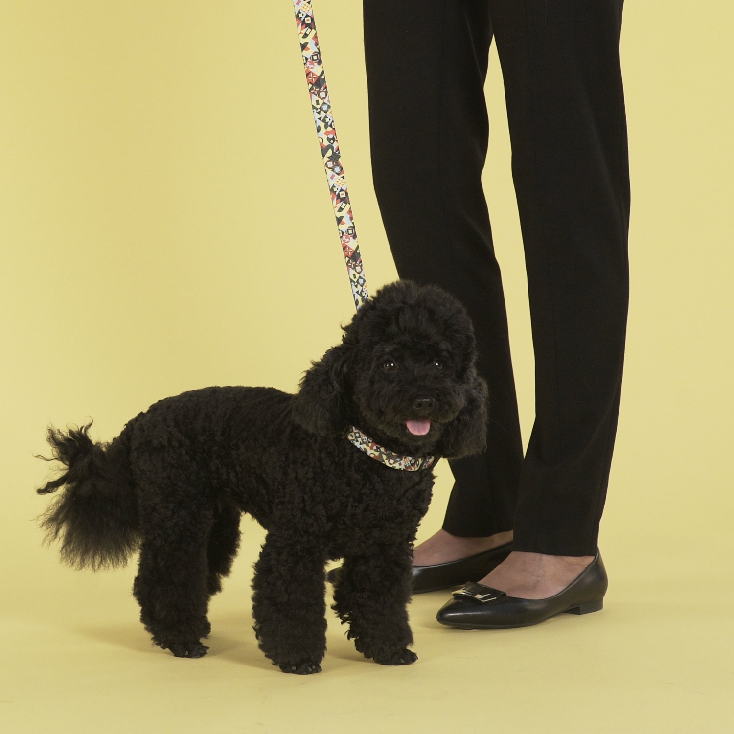 Ошейник United Pets для собак Complete me S 26-40/1,6 см, разноцветный рисунок СКИДКА 30%