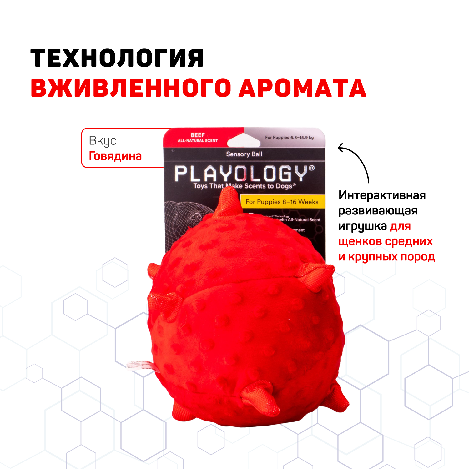 Сенсорный плюшевый мяч Playology PUPPY SENSORY BALL 15 см для щенков средних и крупных пород 8-16 недель с ароматом говядины, цвет красный СКИДКА 50%