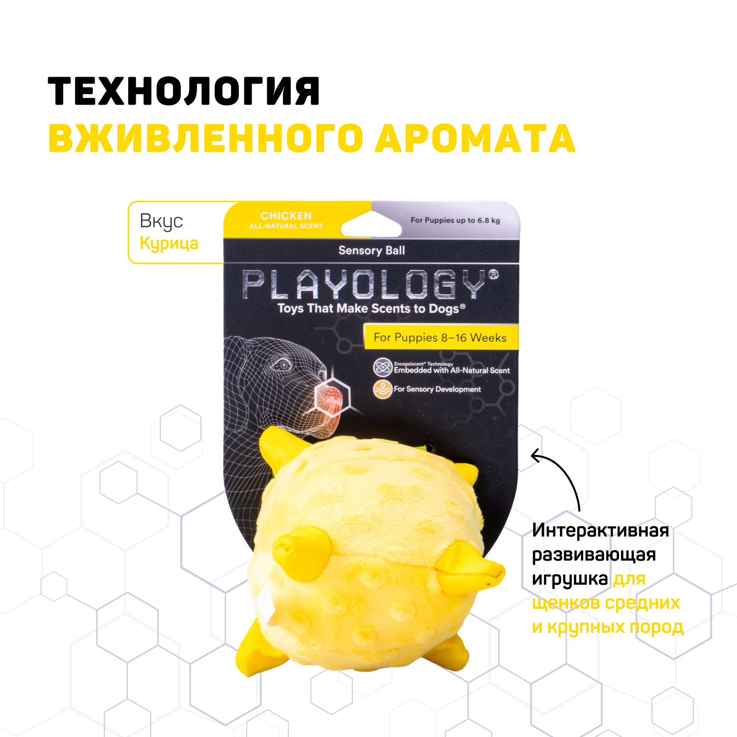 Сенсорный плюшевый мяч Playology PUPPY SENSORY BALL 11 см для щенков мелких и средних пород 8-16 недель с ароматом курицы, цвет желтый СКИДКА 50%
