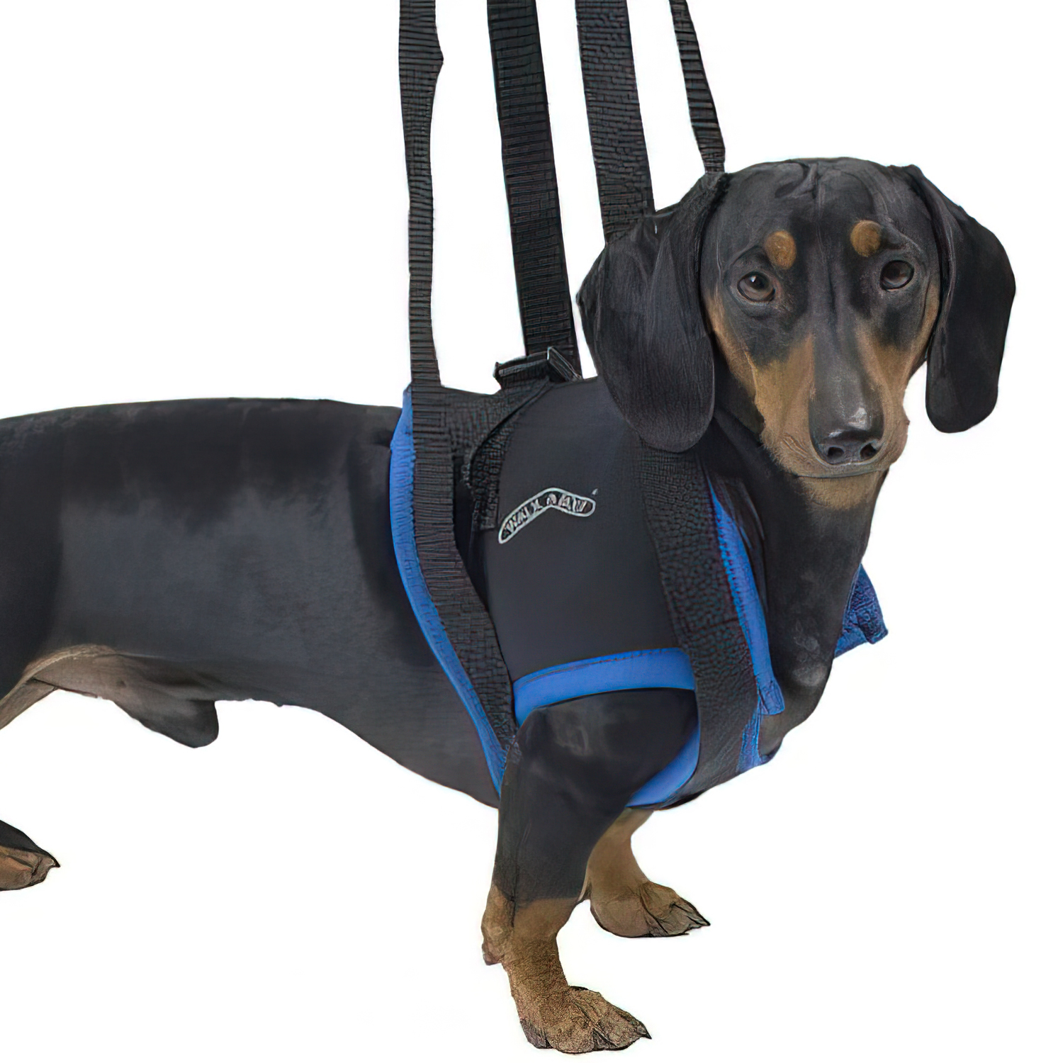 KRUUSE (из наличия) вожжи Walkabout harness на передние конечности L СКИДКА 80%