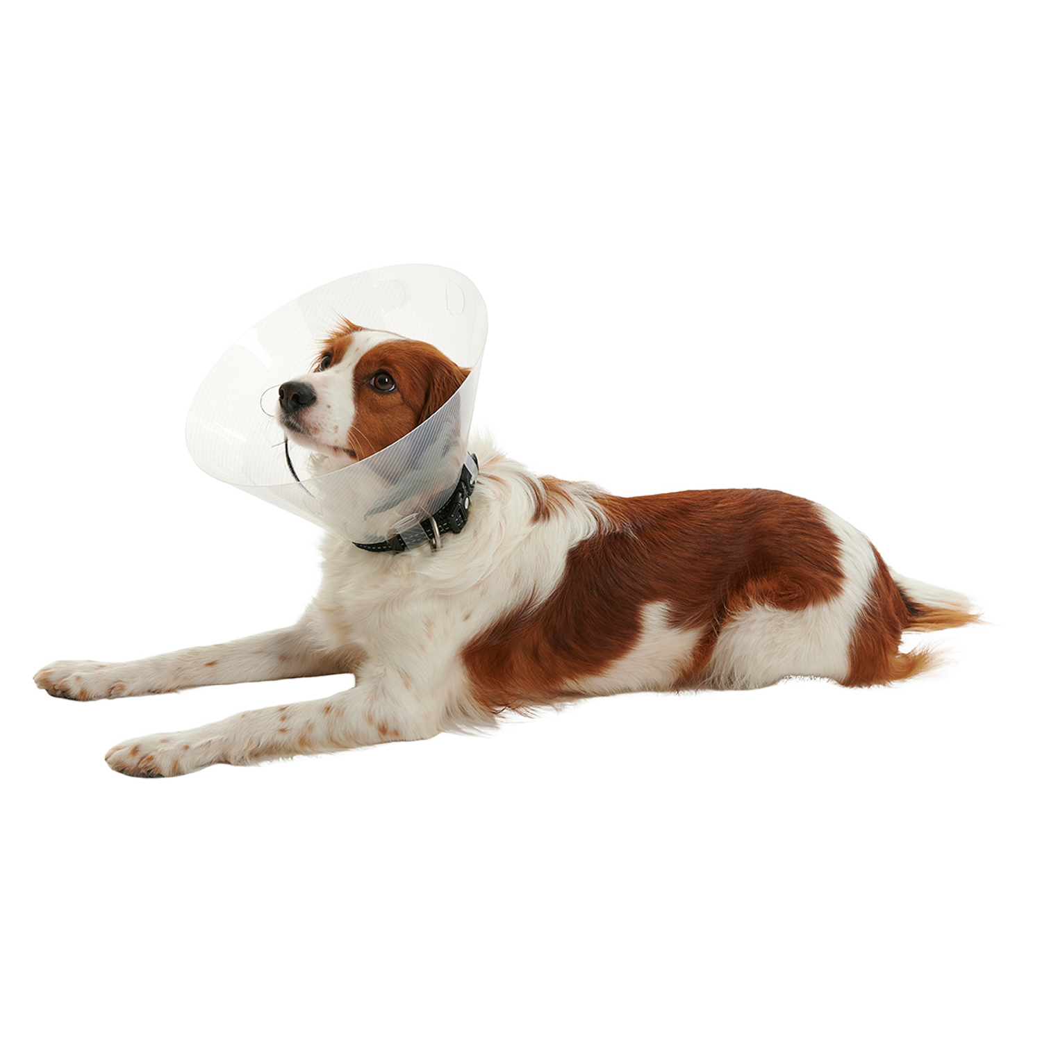 KRUUSE (из наличия) защитный воротник  7,5 см СКИДКА 80%