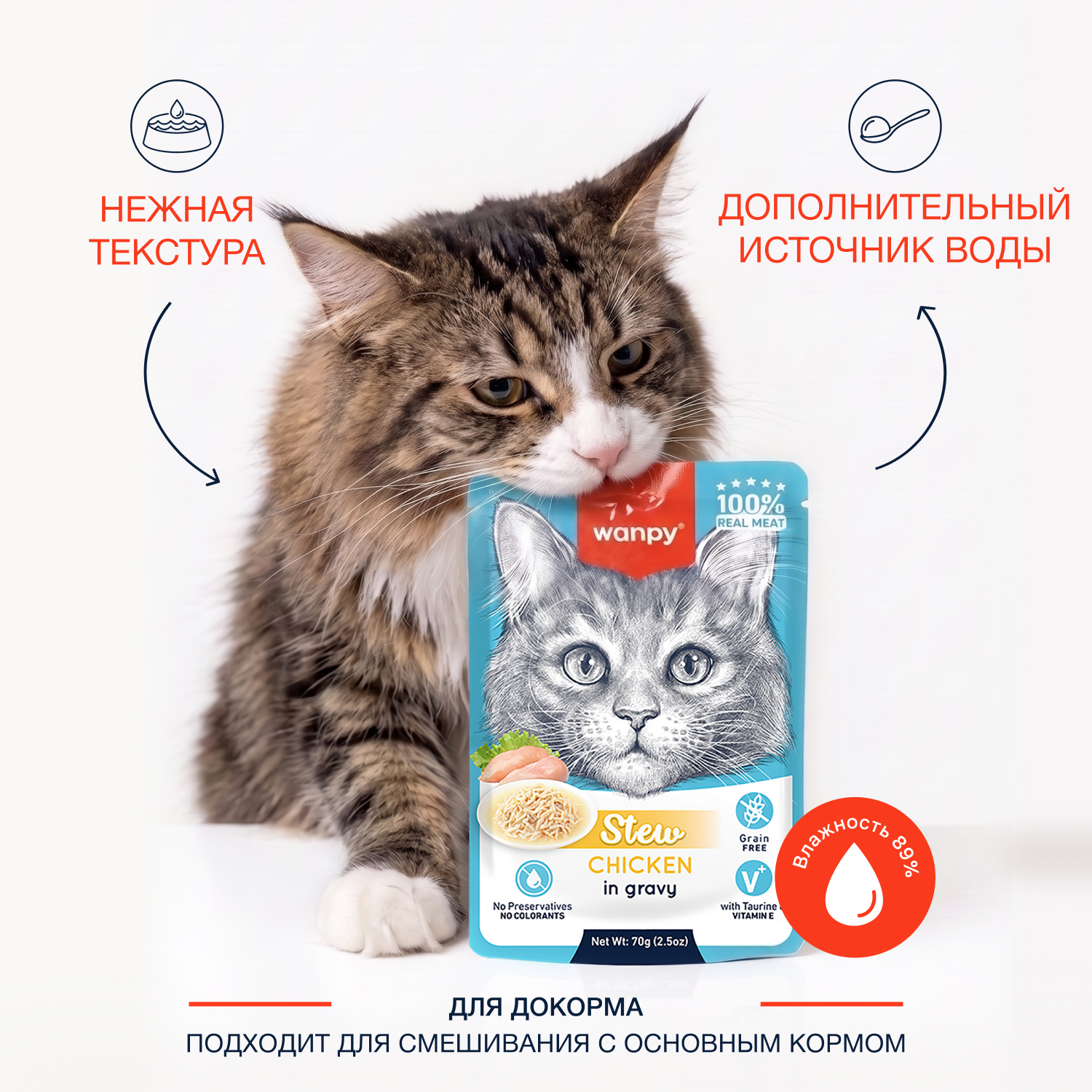 Wanpy Cat Дополнительный консервированный корм пауч для кошек курица в собственному соку 70 г