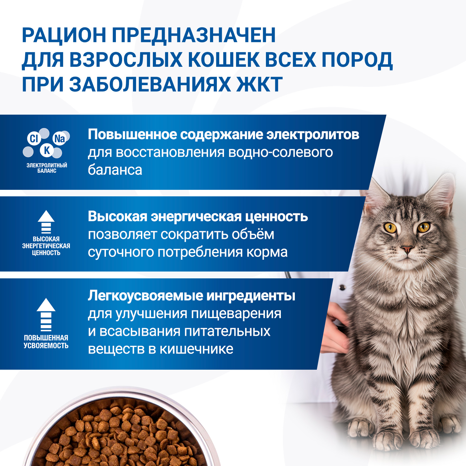 Диетический корм Monge VetSolution Cat Gastrointestinal гастро интестинал для кошек при заболеваниях ЖКТ 1,5 кг