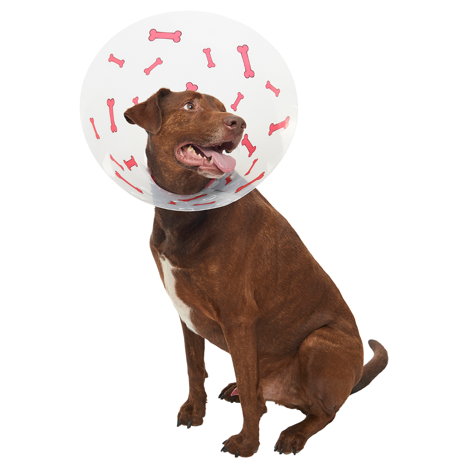 KRUUSE (из наличия) Воротник с дизайном (красные кости) 25 см СКИДКА 80%