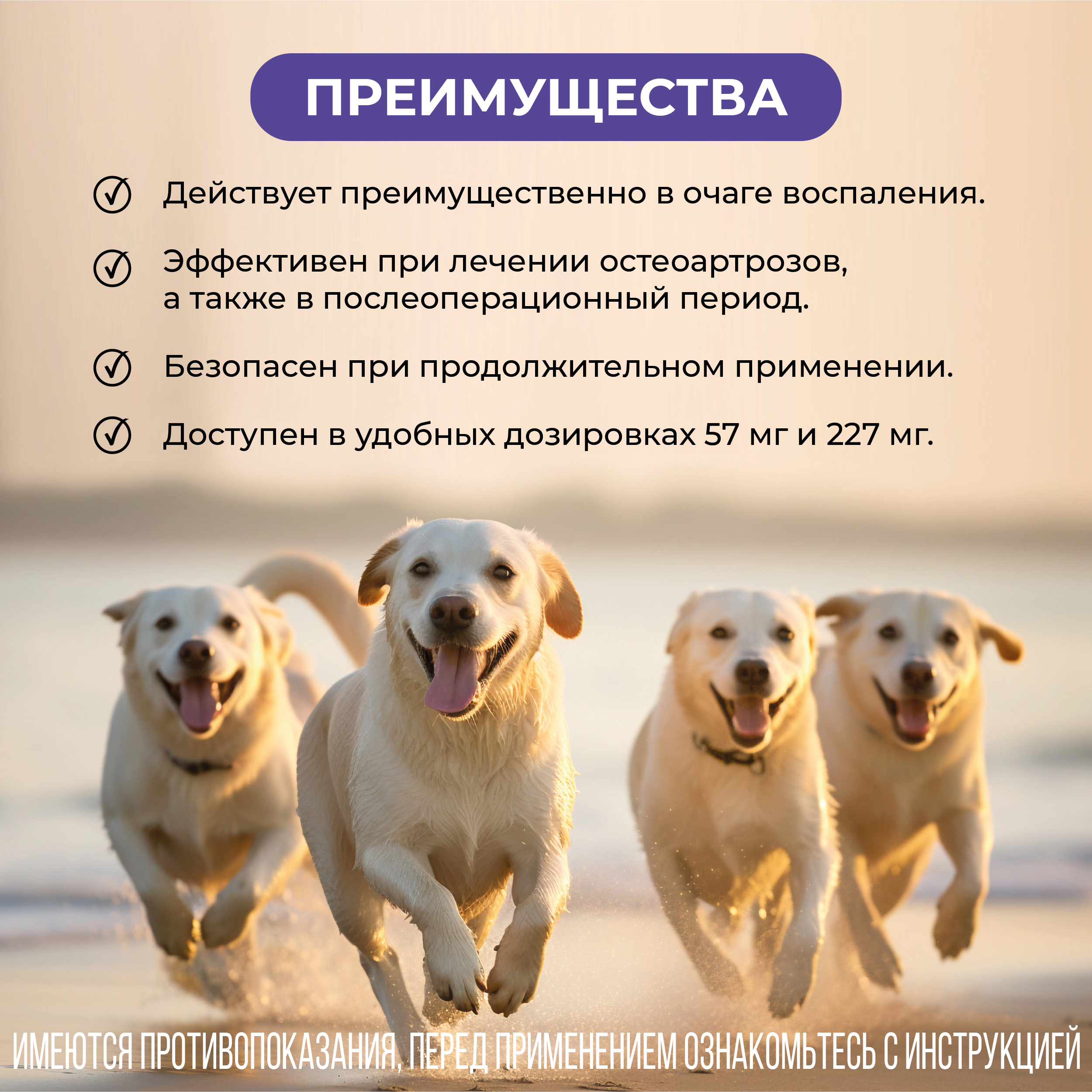 VIC Фироко® 227 мг для крупных собак, коробка 8 табл.