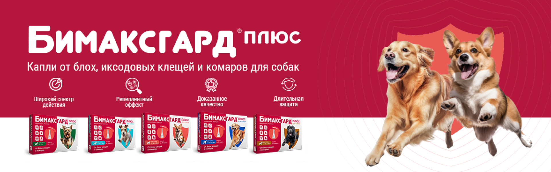 Баннер