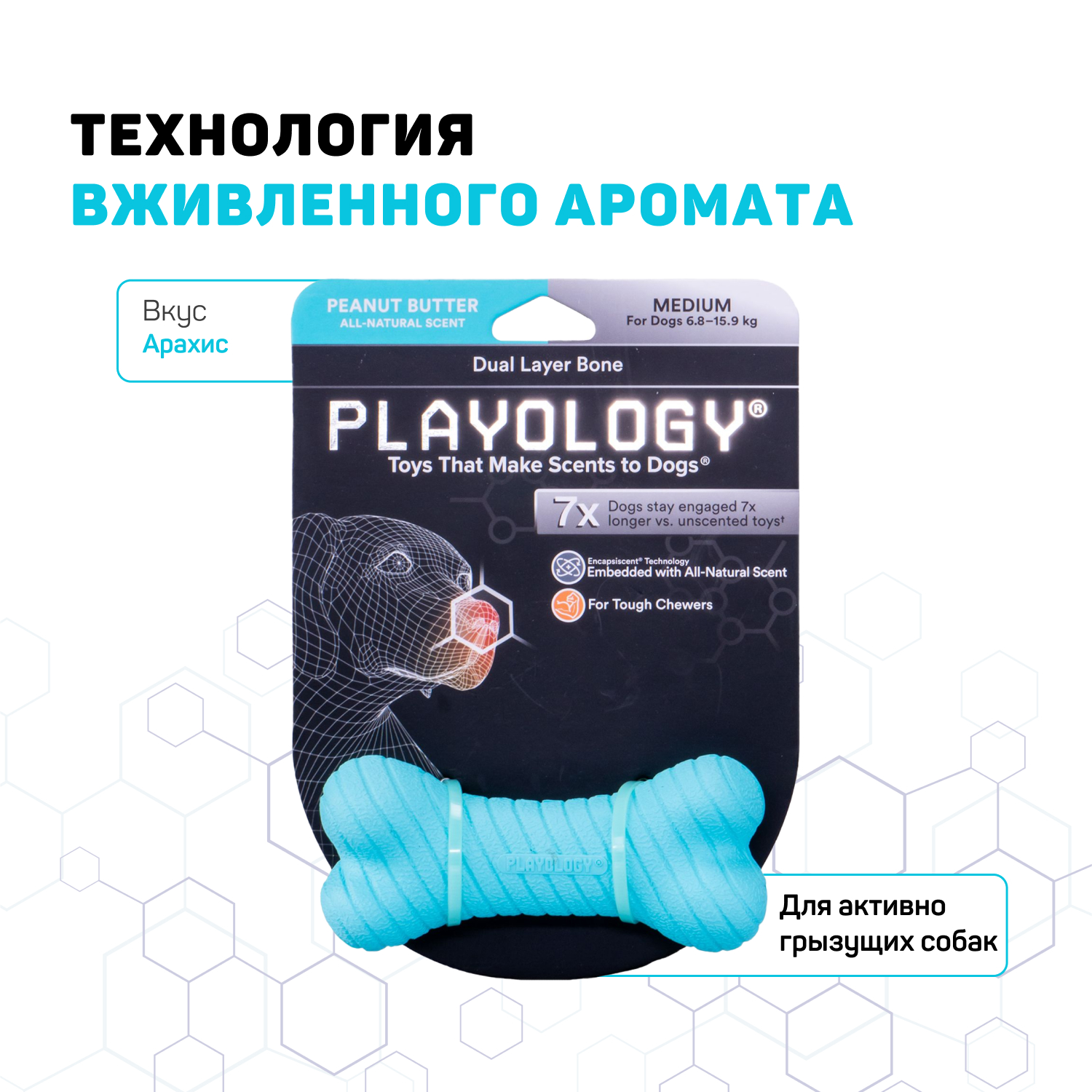 Playology двухслойная жевательная косточка DUAL LAYER BONE для собак средних пород с ароматом арахиса, средняя, цвет голубой СКИДКА 50%