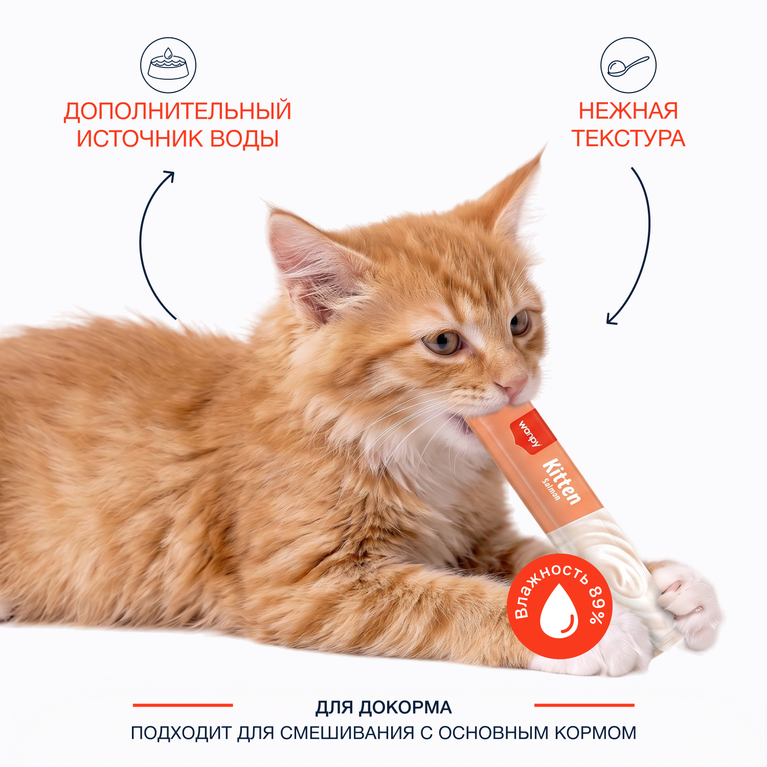 Wanpy Cat Лакомство для котят «нежное пюре» из лосося 70 г