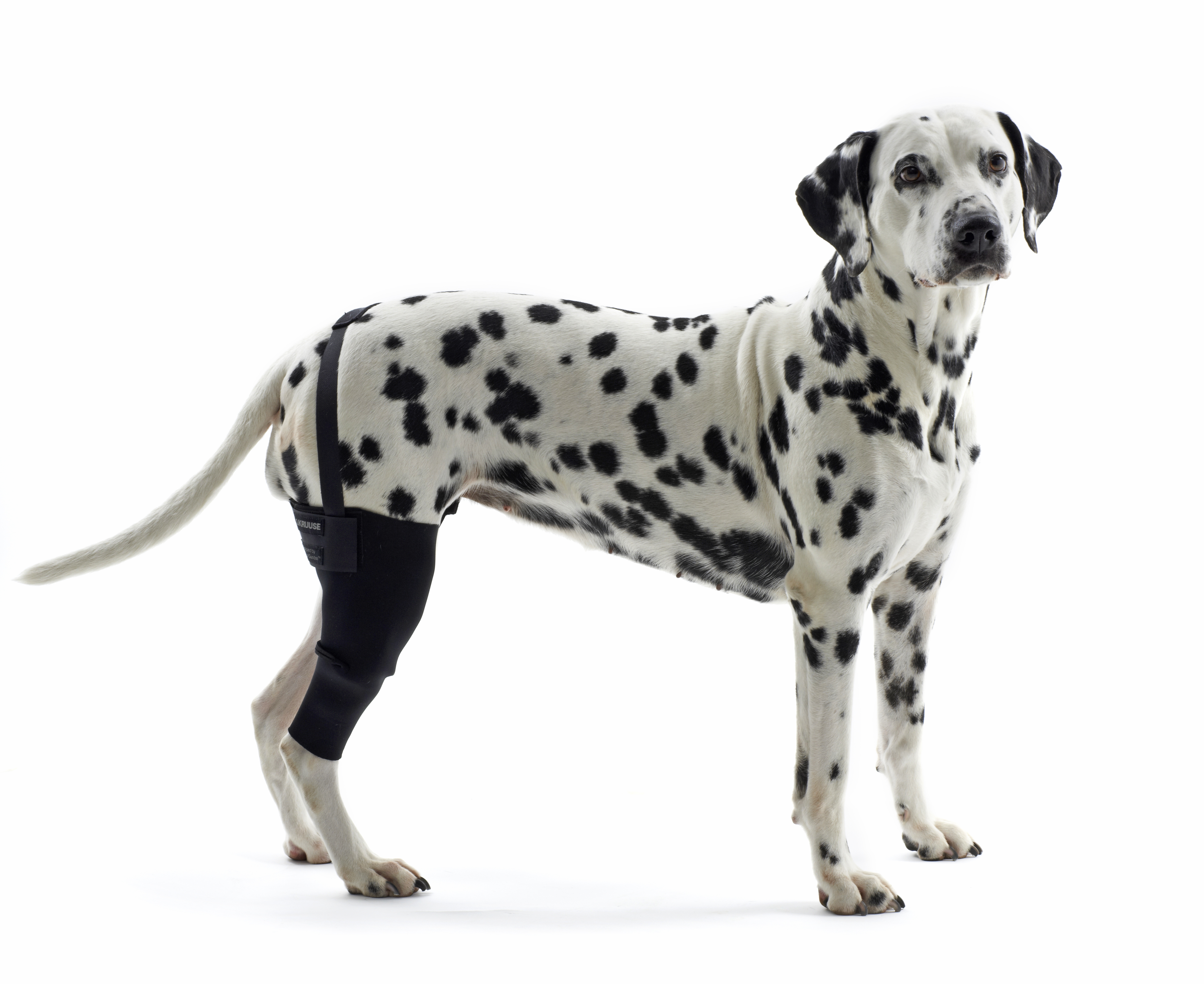 KRUUSE (из наличия) Rehab протектор на левое колено M СКИДКА 80%