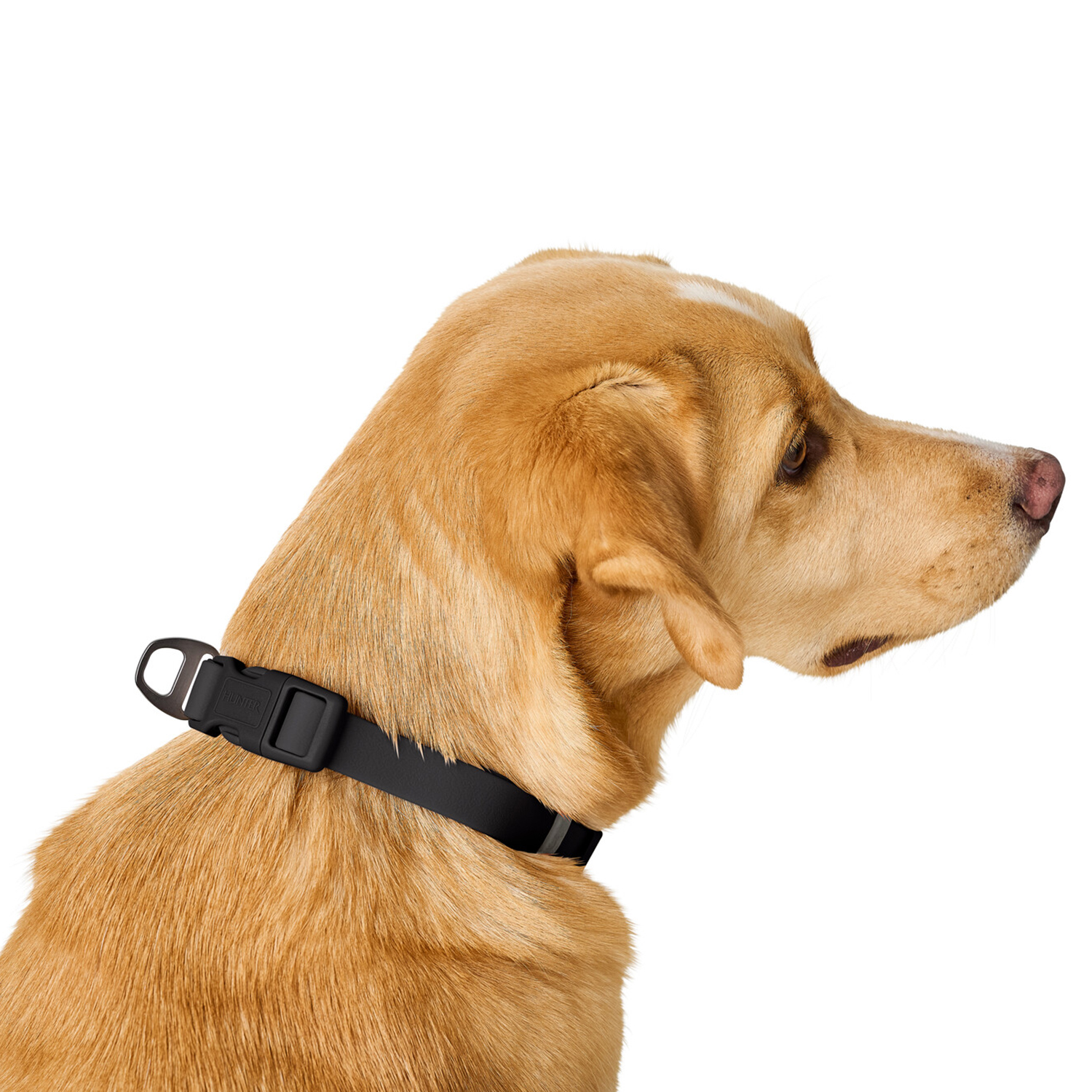 Hunter ошейник для собак Havanna M (30-45 см), биотановый, черный