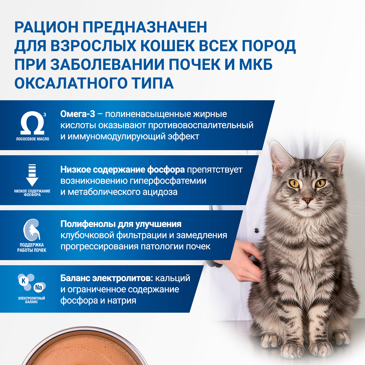 Диетический корм Monge VetSolution Cat Renal and Oxalate Ренал и Оксалат для кошек при ХПН и профилактике образования оксалатов 100 г
