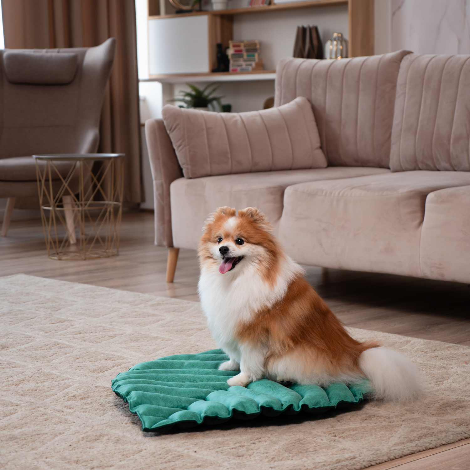 Лежанка Mr.Kranch для собак Листочек средняя двусторонняя размер 90х65х5см зеленая