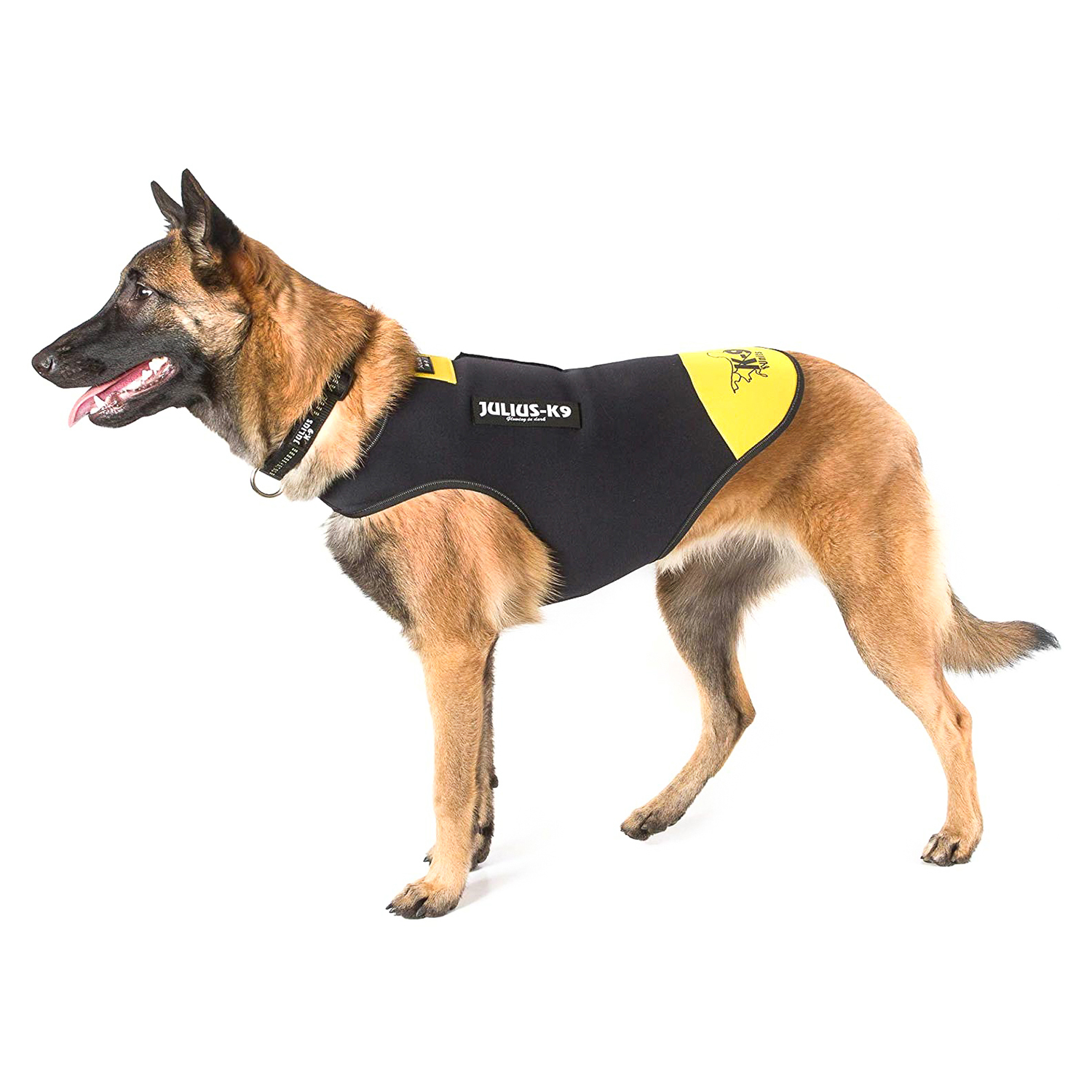 JULIUS-K9 жилет для собак Neoprene IDC®  L (70-82см / длина 49см), черно-желтый СКИДКА 50%