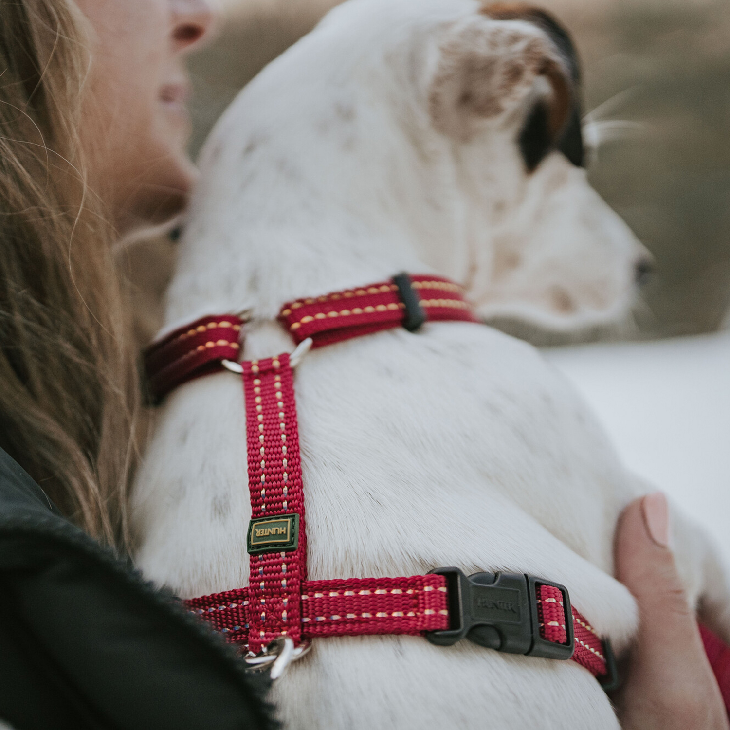 Hunter шлейка для собак Tripoli S (41-55 см), нейлон малиновая, светоотражающая