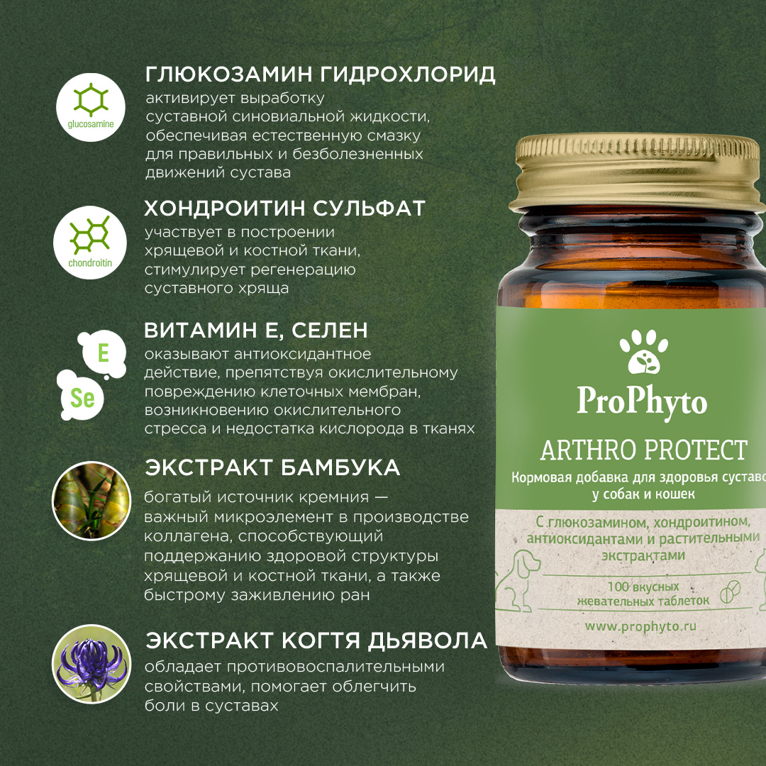 ProPhyto Артро Защита, 100 таблеток