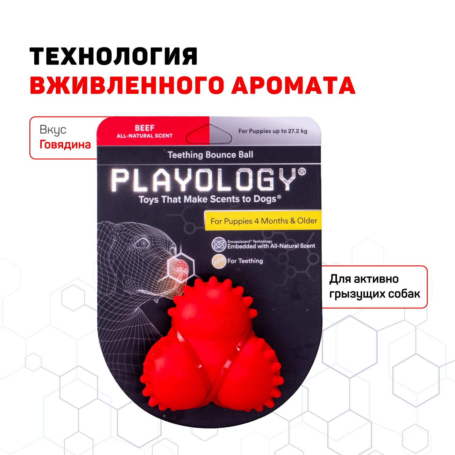 Playology дентальный жевательный тройной мяч SQUEAKY BOUNCE BALL для щенков 4-8 месяцев с ароматом говядины, цвет красный СКИДКА 50%