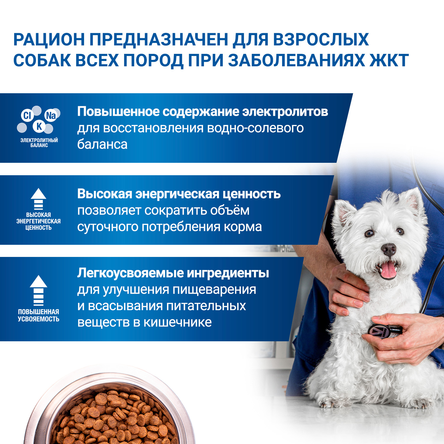 Диетический корм Monge VetSolution Dog Gastrointestinal Гастроинтестинал для собак при заболеваниях ЖКТ 12 кг