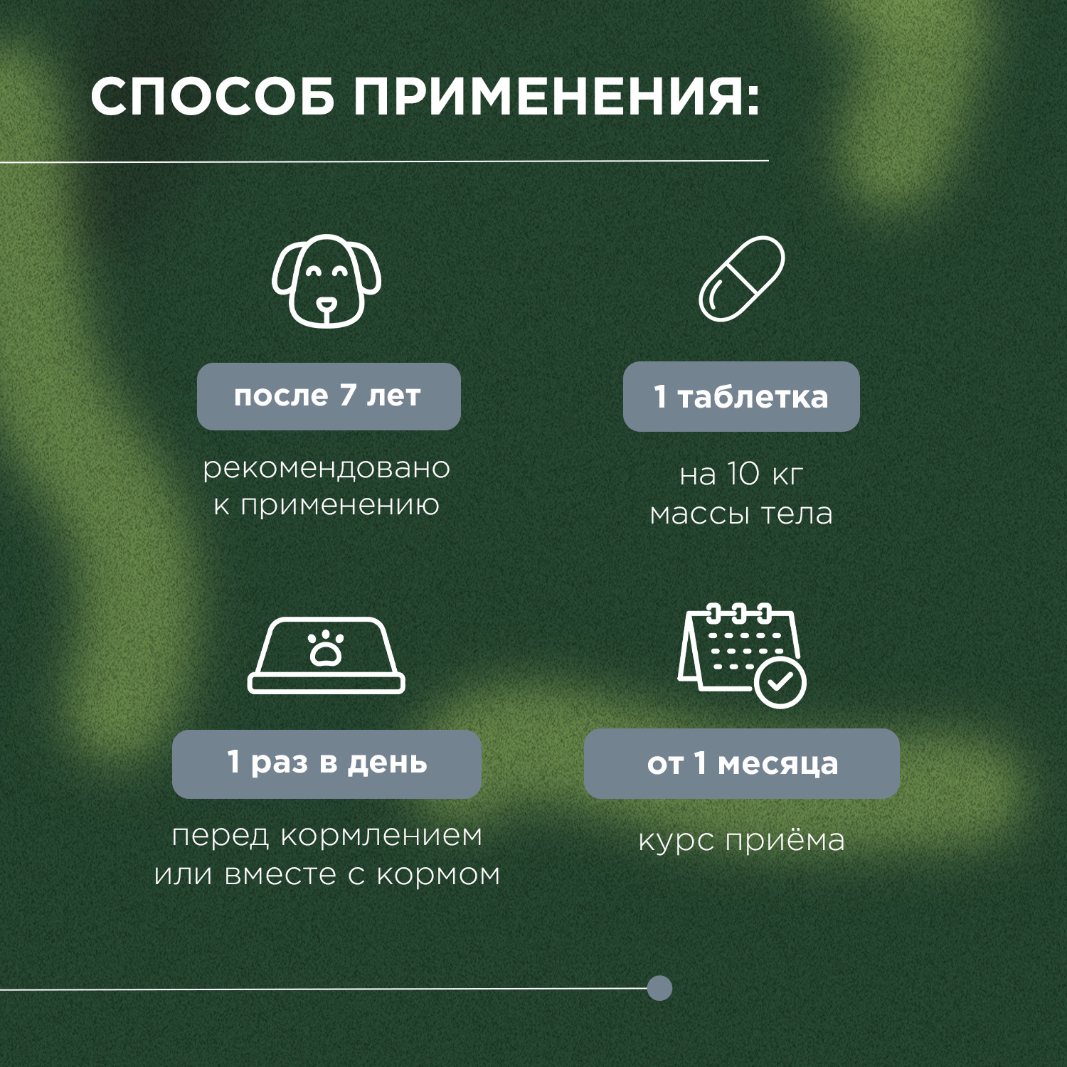 ProPhyto Сеньор Саппорт, 100 таблеток