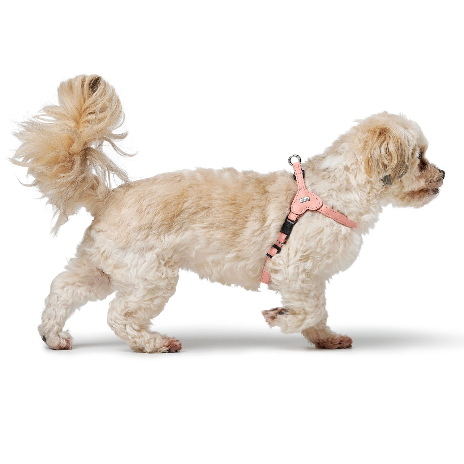 Hunter шлейка для собак Soho Mini XXS-XS (28-34 см), натуральная кожа, розовая