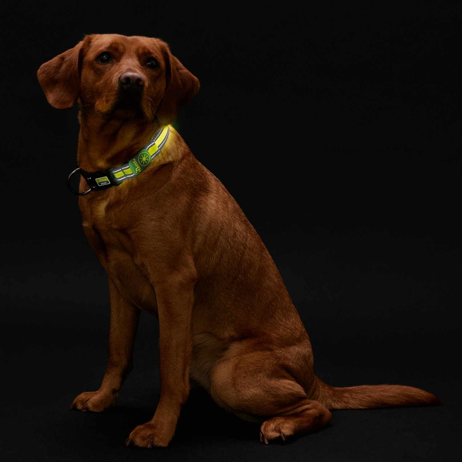 Hunter LED Ошейник Manoa Glow L (55-60)/2,5 желтый СКИДКА 50%