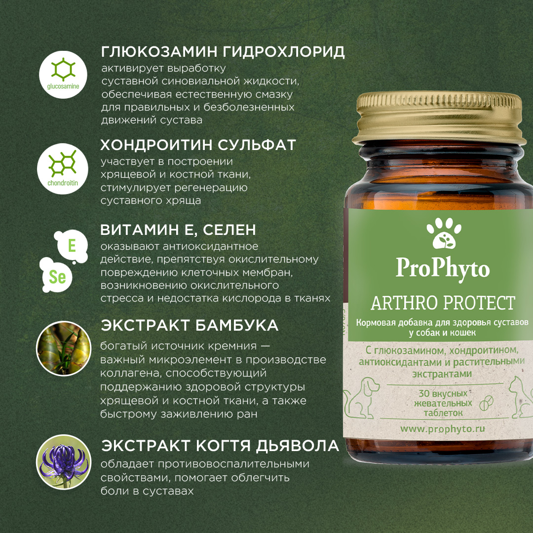 ProPhyto Артро Защита, 30 таблеток