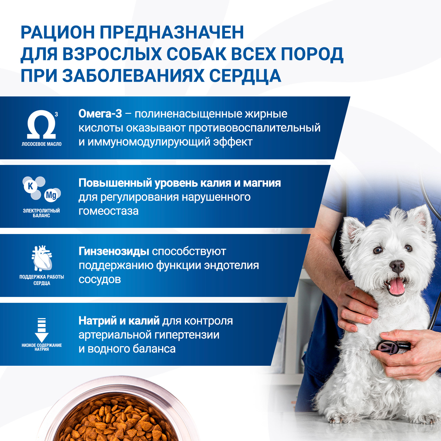 Диетический корм Monge VetSolution Dog Cardiac Кардиак для собак при заболеваниях сердца 2 кг