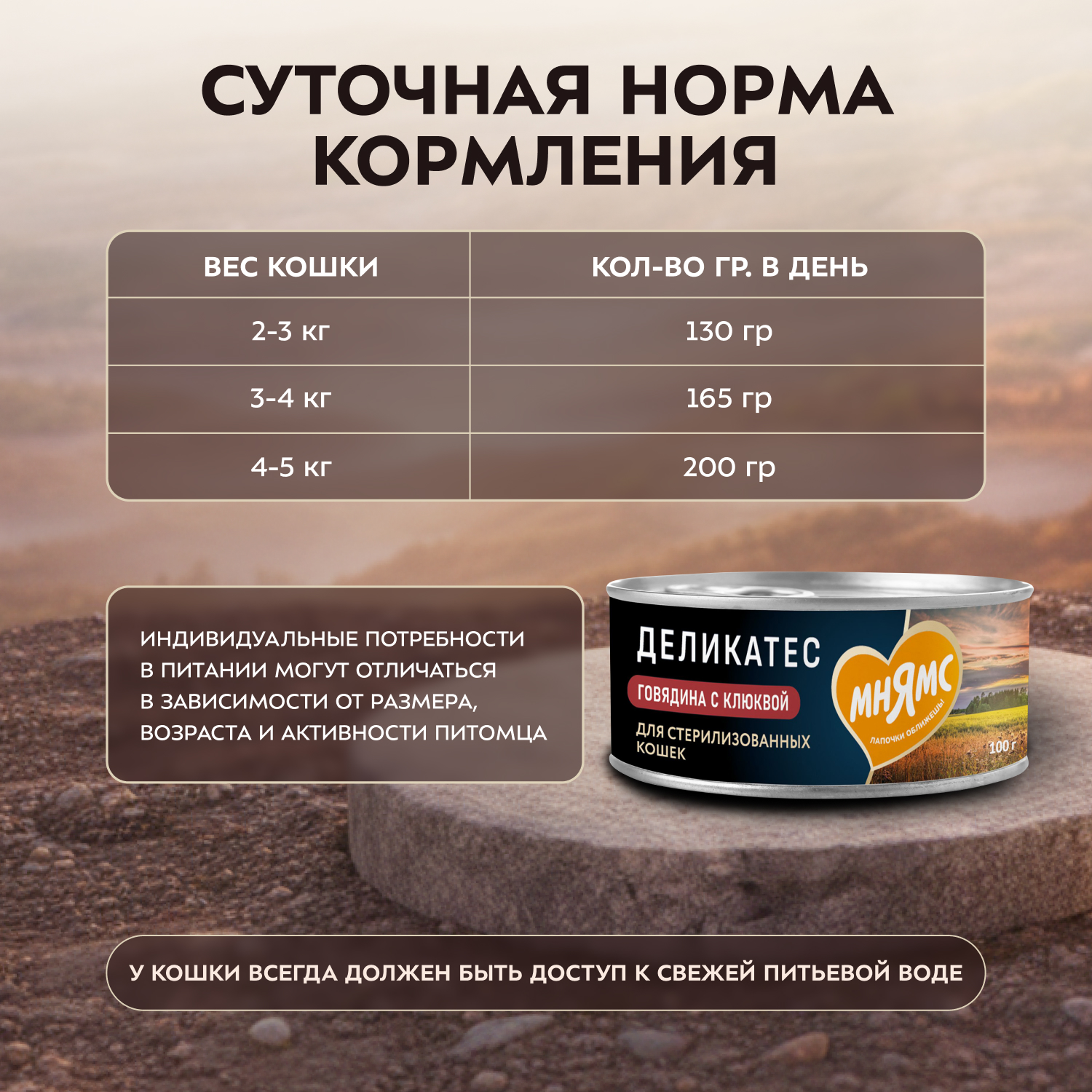Влажный корм Мнямс Деликатес Говядина с клюквой для стерилизованных кошек "Паштет по-шведски" 100 г