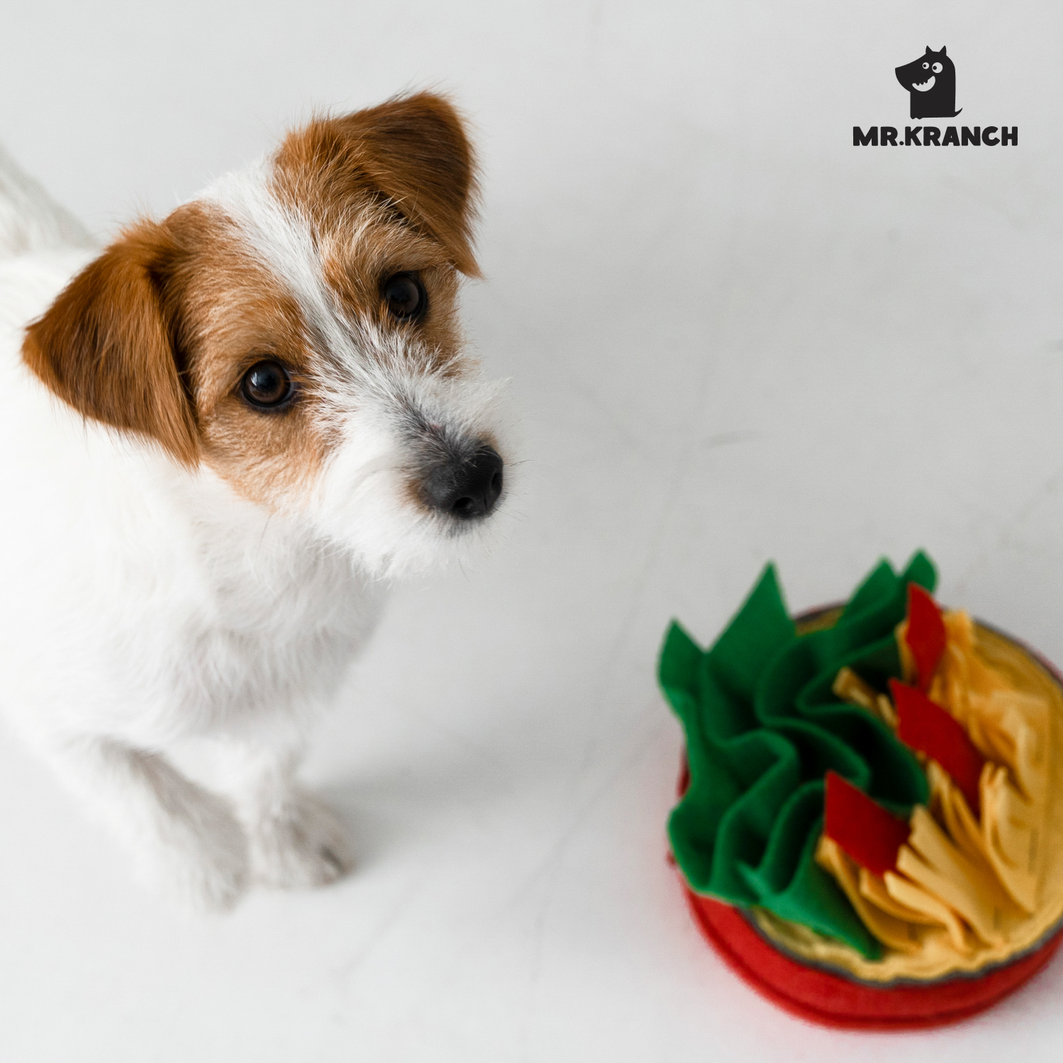 Нюхательная игрушка Mr.Kranch Пицца размер 18x18см