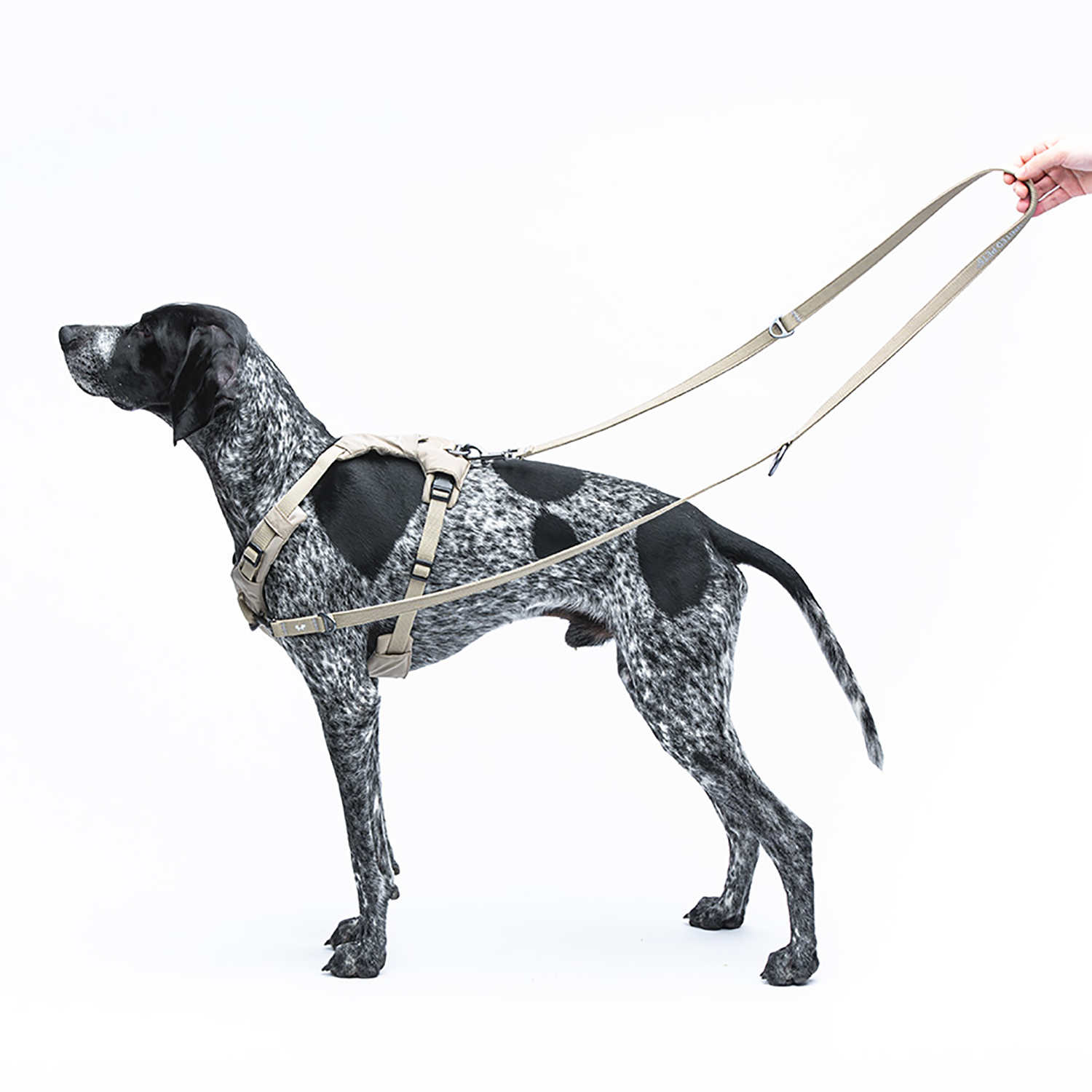 Шлейка United Pets для собак Citylife Y-образная XS 15 x 38-48, бежевый