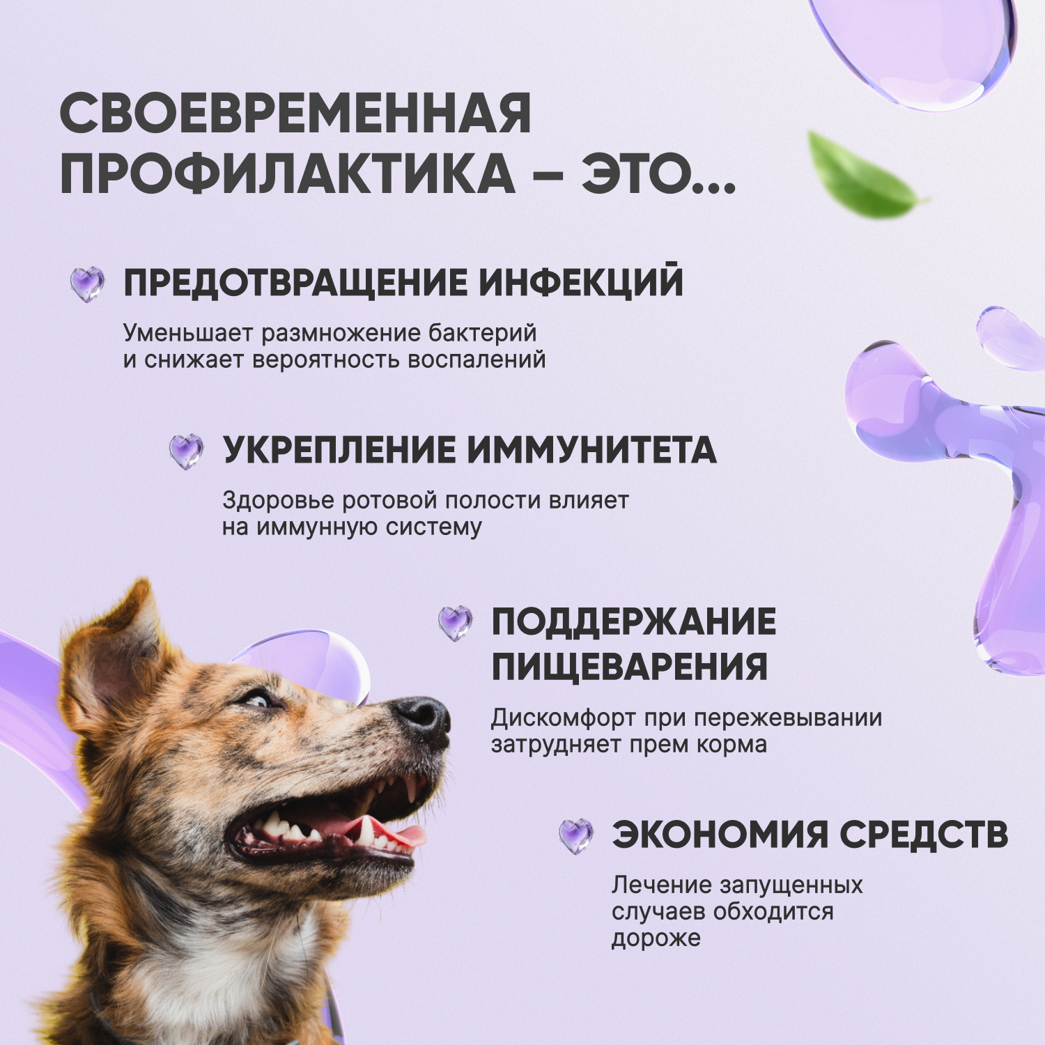 V.A.D.C. (ВИ.ЭЙ.ДИ.ЭС.) «Укрепление пародонта» зубная паста с ароматом говядины для собак и кошек, 50 мл