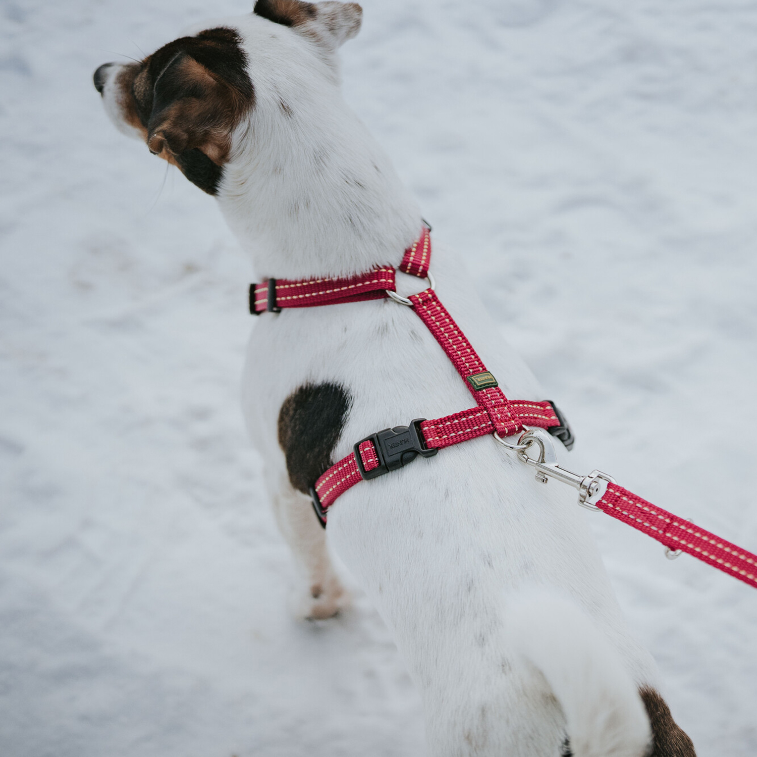 Hunter шлейка для собак Tripoli S (41-55 см), нейлон малиновая, светоотражающая