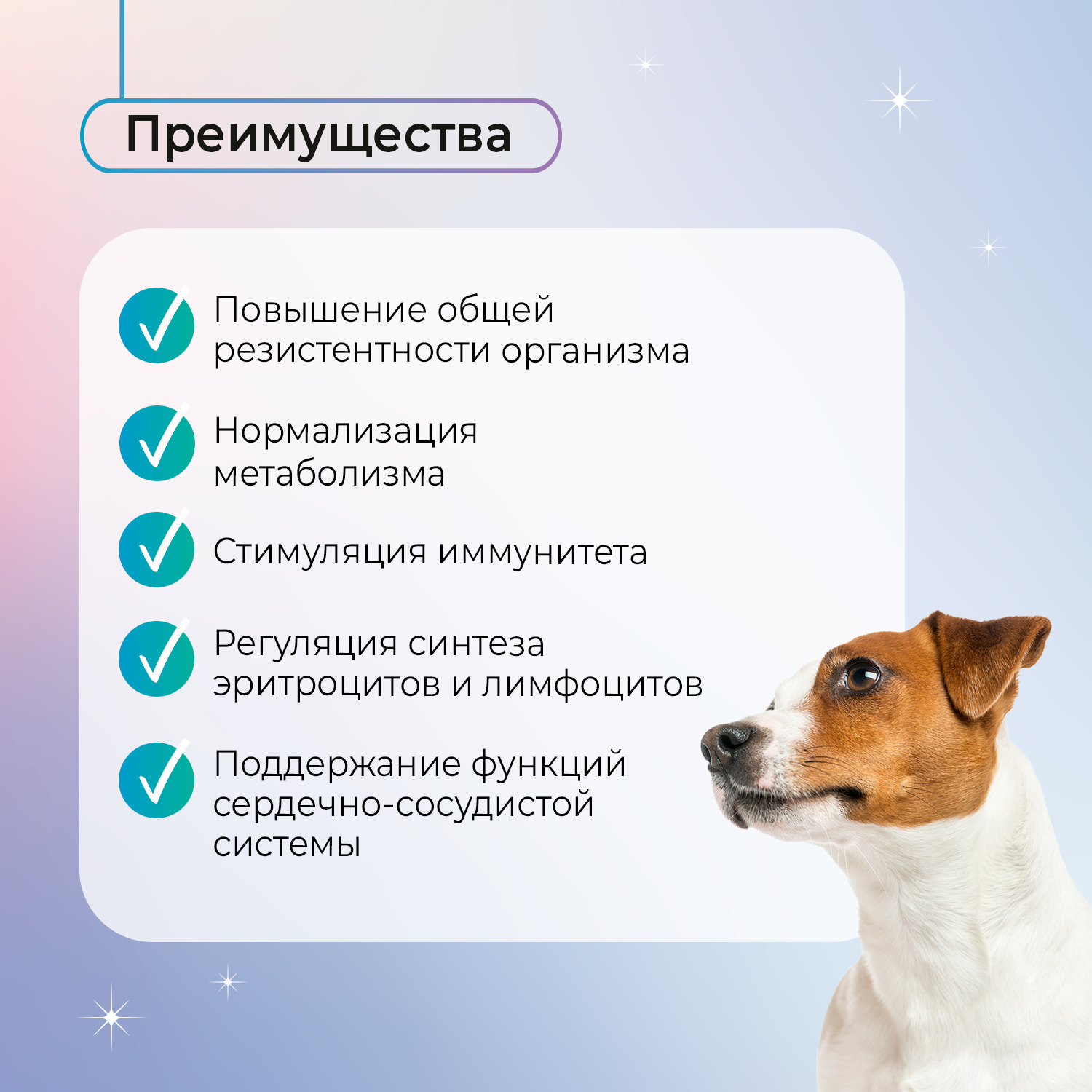 Favet Функциональное лакомство FerrumActive Soft Chews для иммунитета для собак, 120г