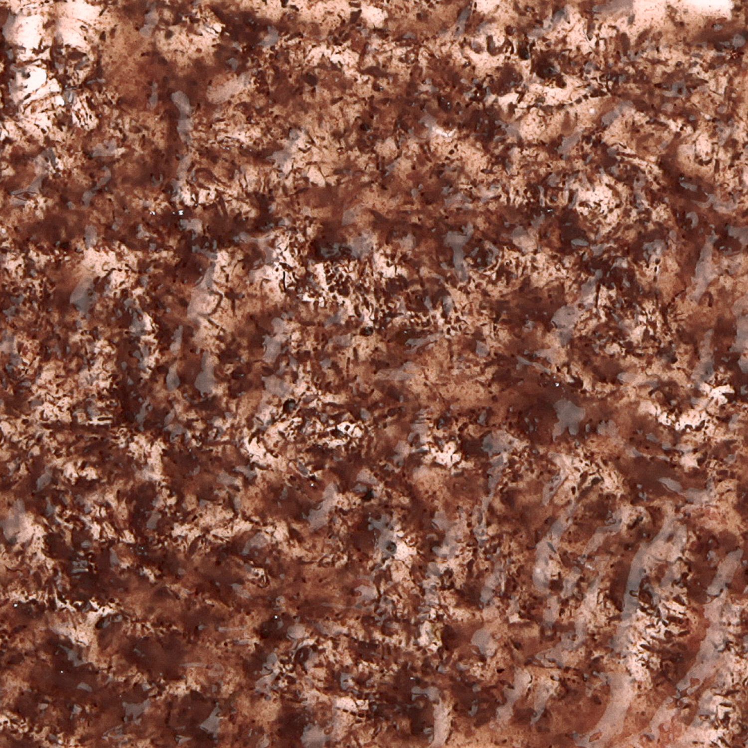 TetraFreshDelica Bloodworms корм мотыль в желе 48 г