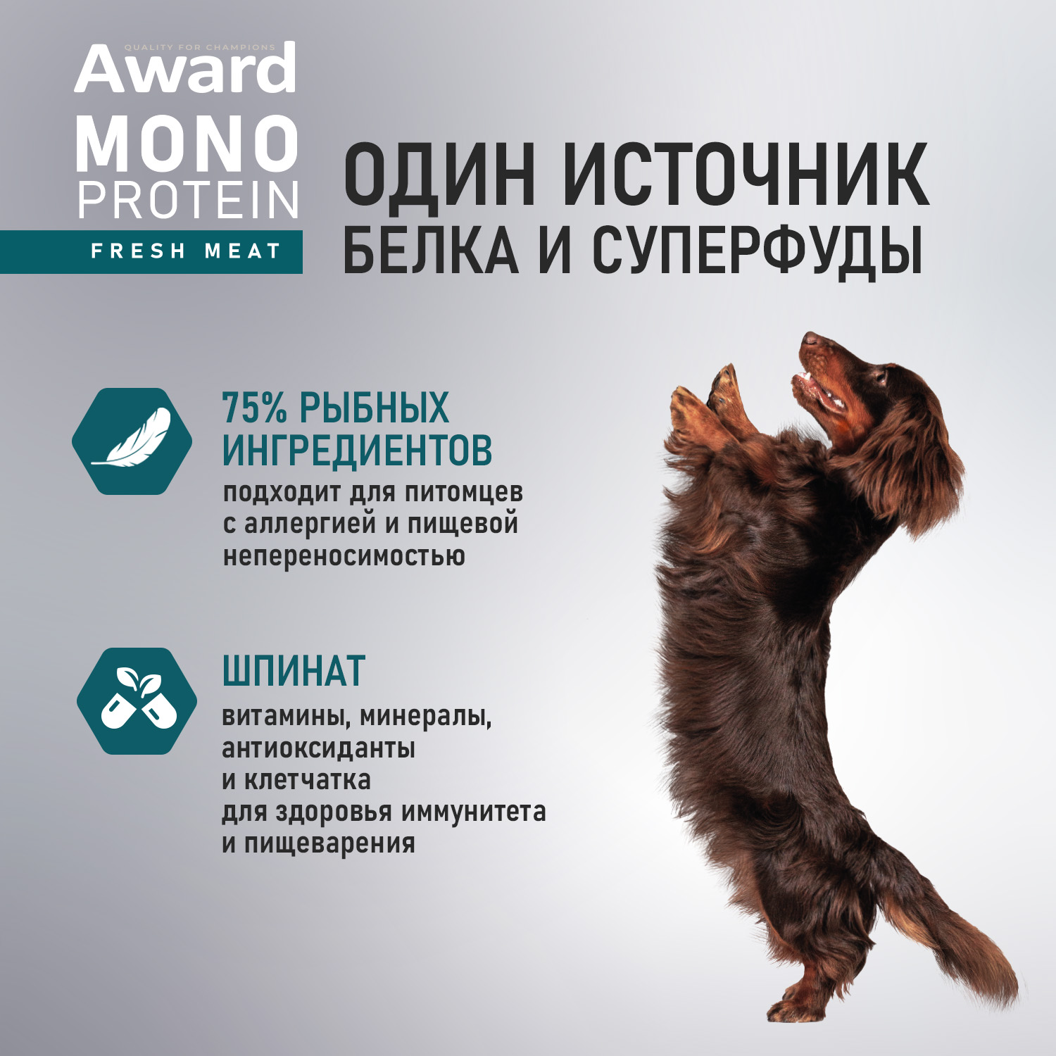 Влажный корм AWARD Monoprotein для взрослых собак паштет из лосося со шпинатом 100г