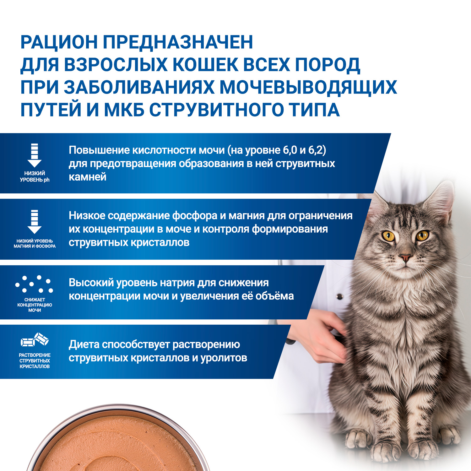 Диетический корм Monge VetSolution Cat Urinary Struvite Уринари Струвит для кошек при заболеваниях мочеполовой системы и струвитном течении МКБ 100г