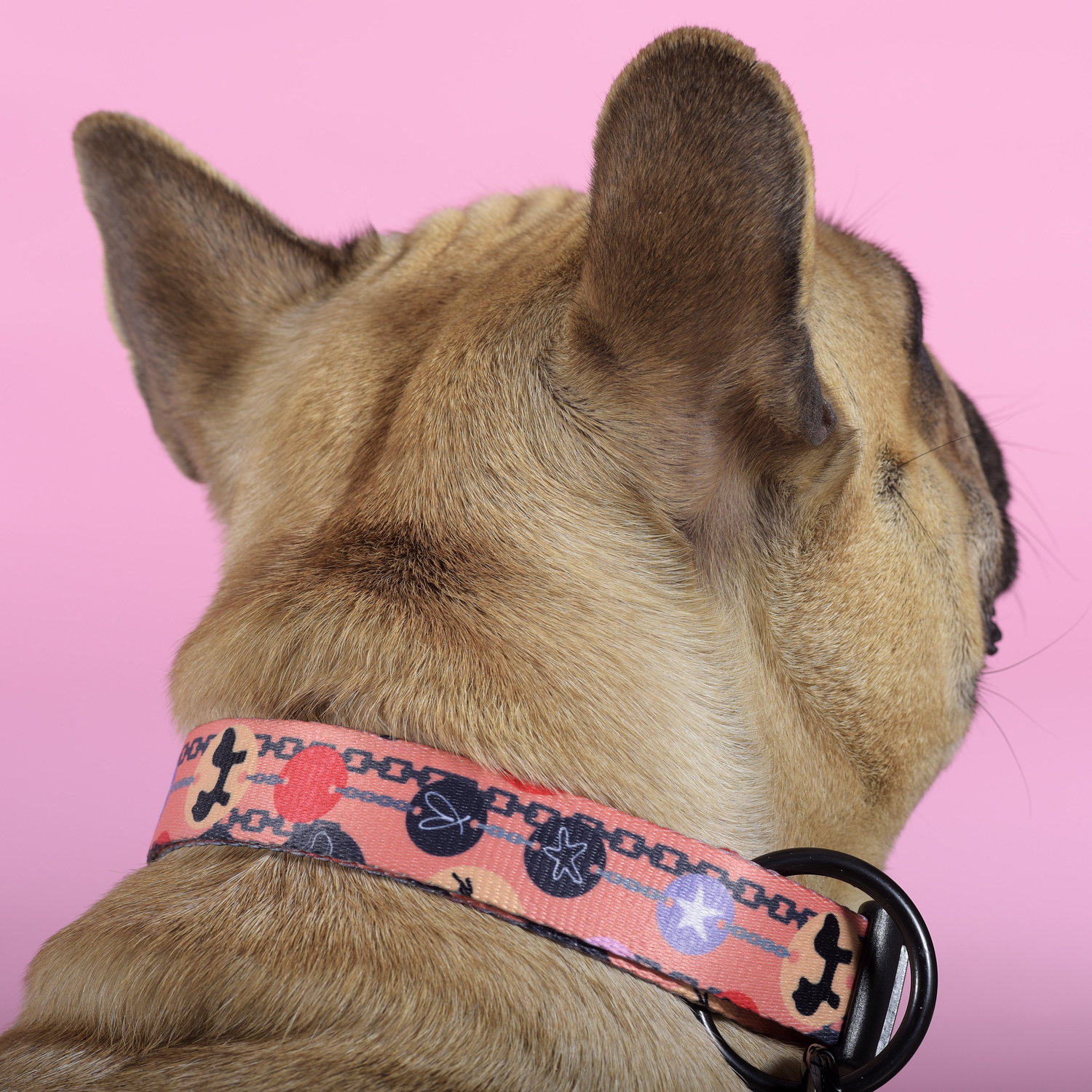 Ошейник United Pets для собак Complete me Forever L 43-73/2,5 см, оранжевый с рисунком