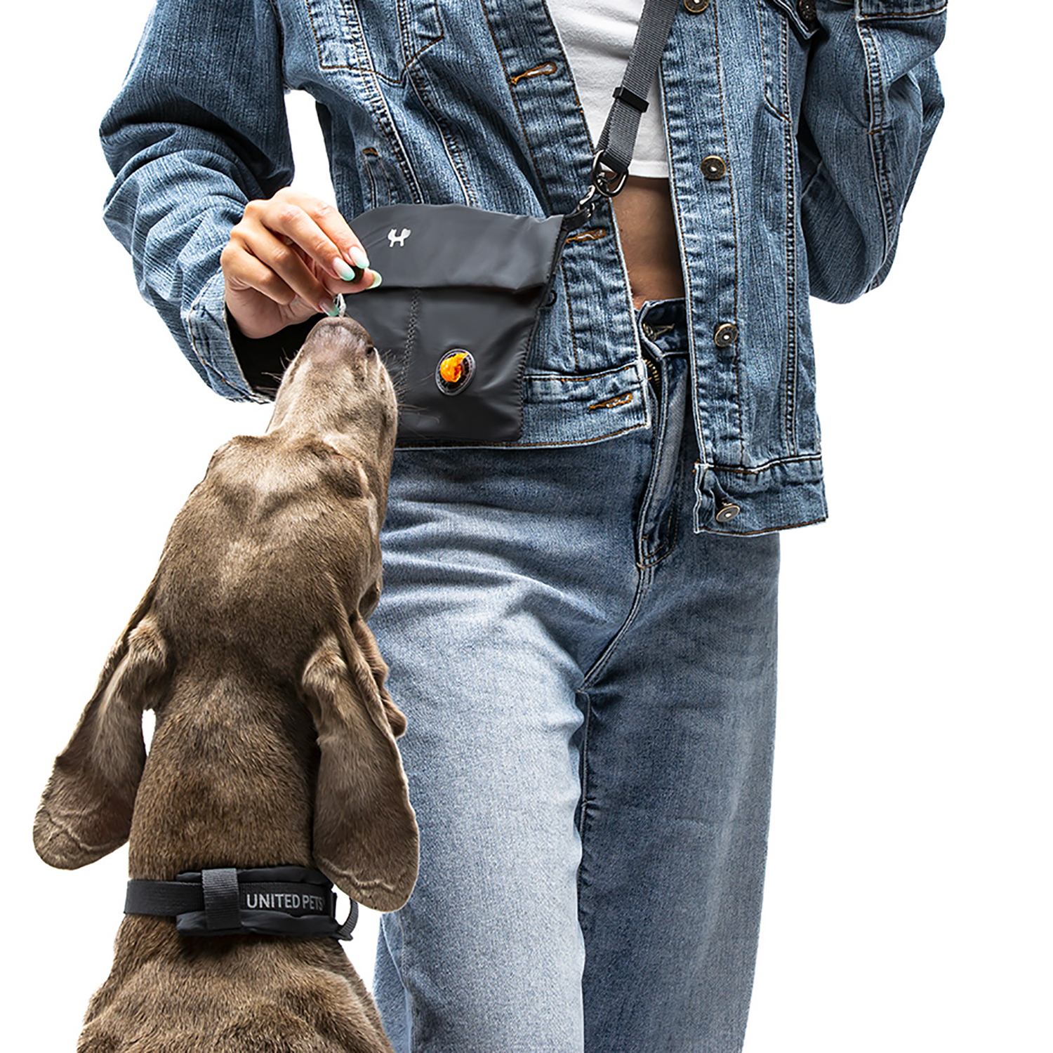 Ошейник United Pets с мягкой подкладкой для собак Citylife M 20 x 35-50 см черный
