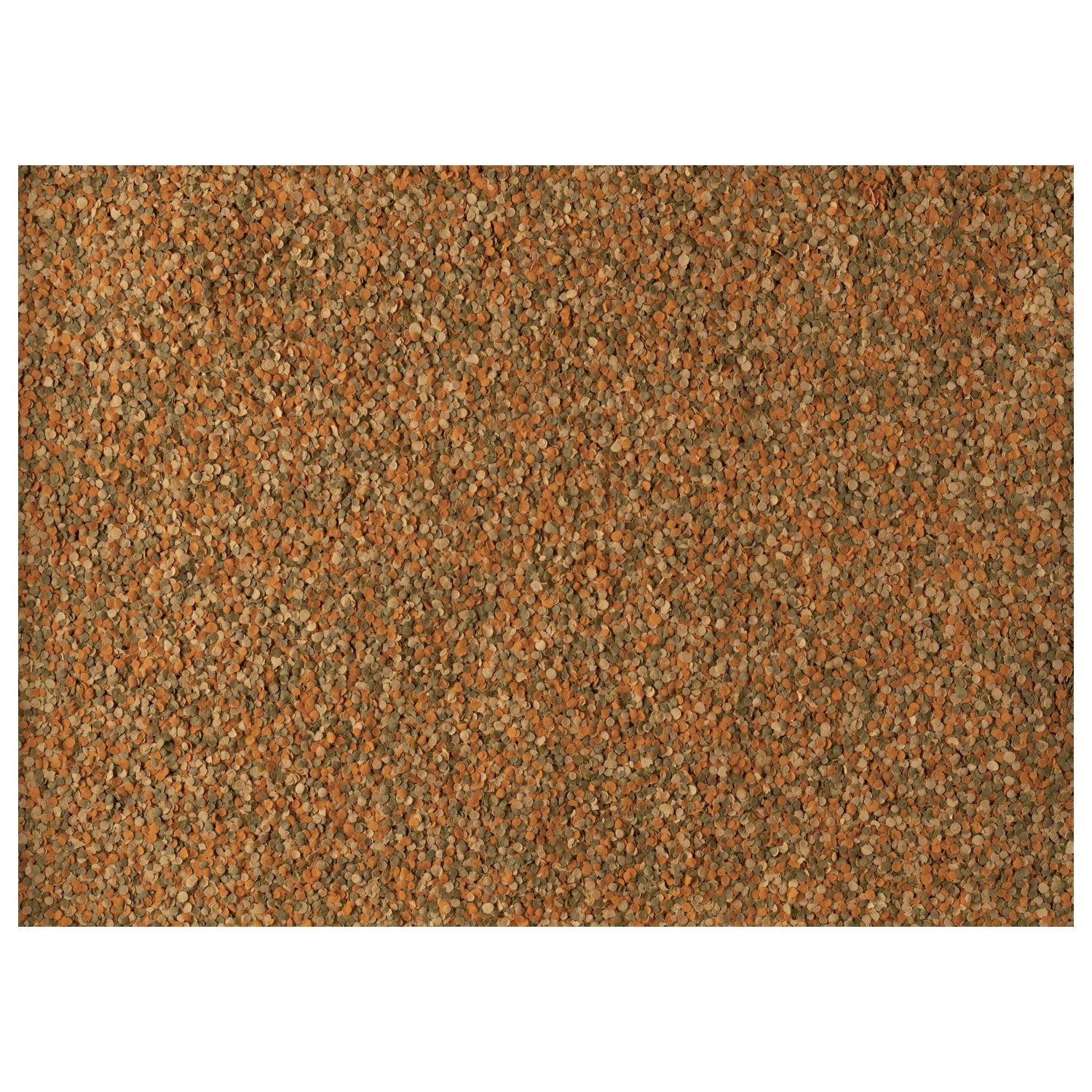 TetraMin Crisps корм-чипсы для всех видов рыб 250 мл