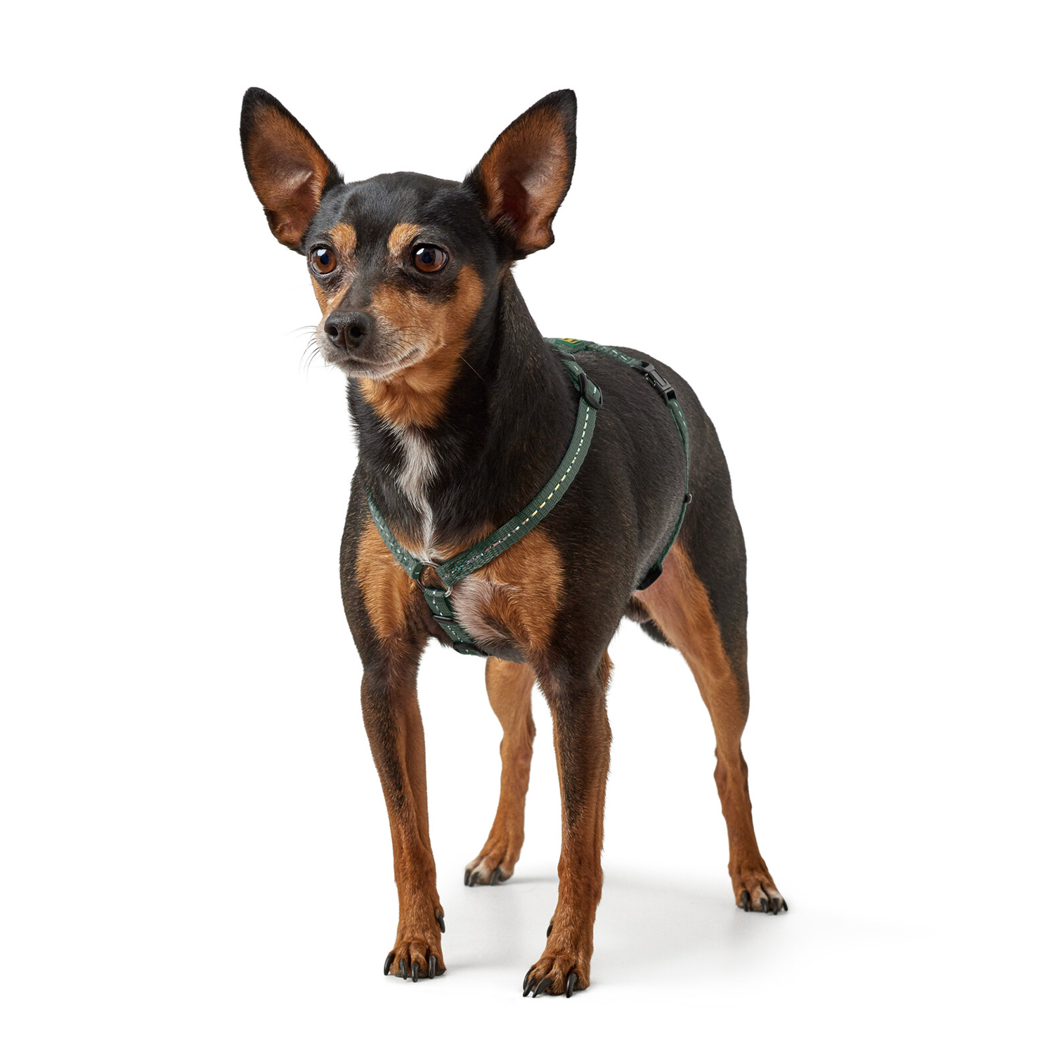 Hunter шлейка для собак Tripoli Mini XXS (18-30 см), нейлон оливковая, светоотражающая