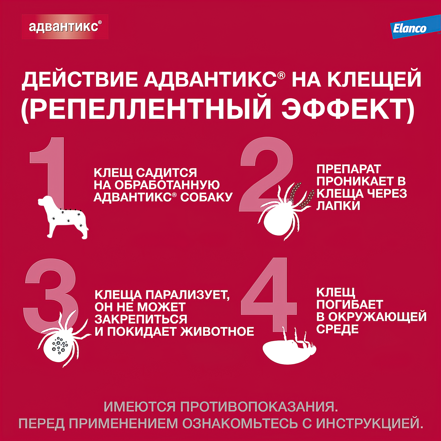 Bayer Адвантикс 100 С для собак 4-10 кг от блох, клещей и комаров (4 пипетки х 1 мл)