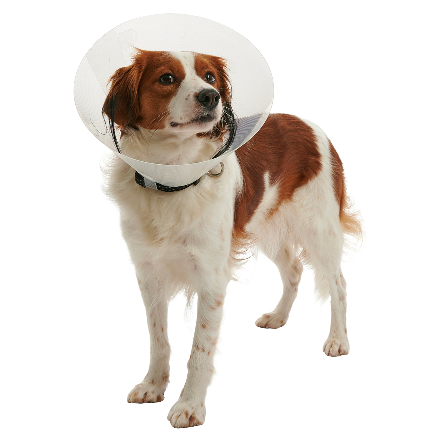 KRUUSE (из наличия) защитный воротник 15 см СКИДКА 80%