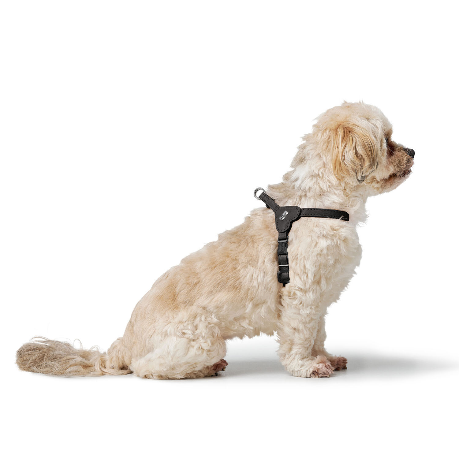 Hunter шлейка для собак Soho Mini XS-S (33-44 см), натуральная кожа, черная