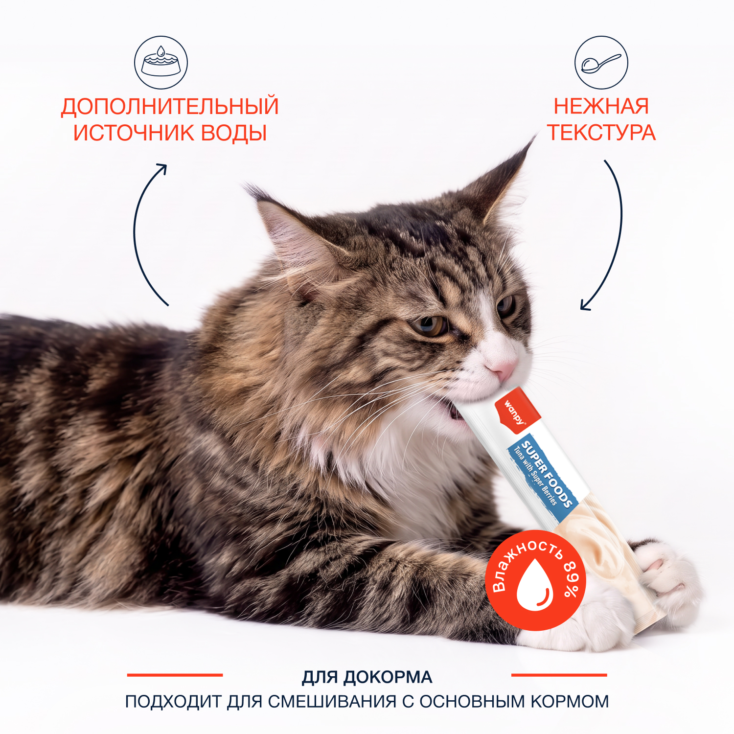 Wanpy Cat Лакомство для кошек «нежное пюре» из тунца с ягодами 70 г