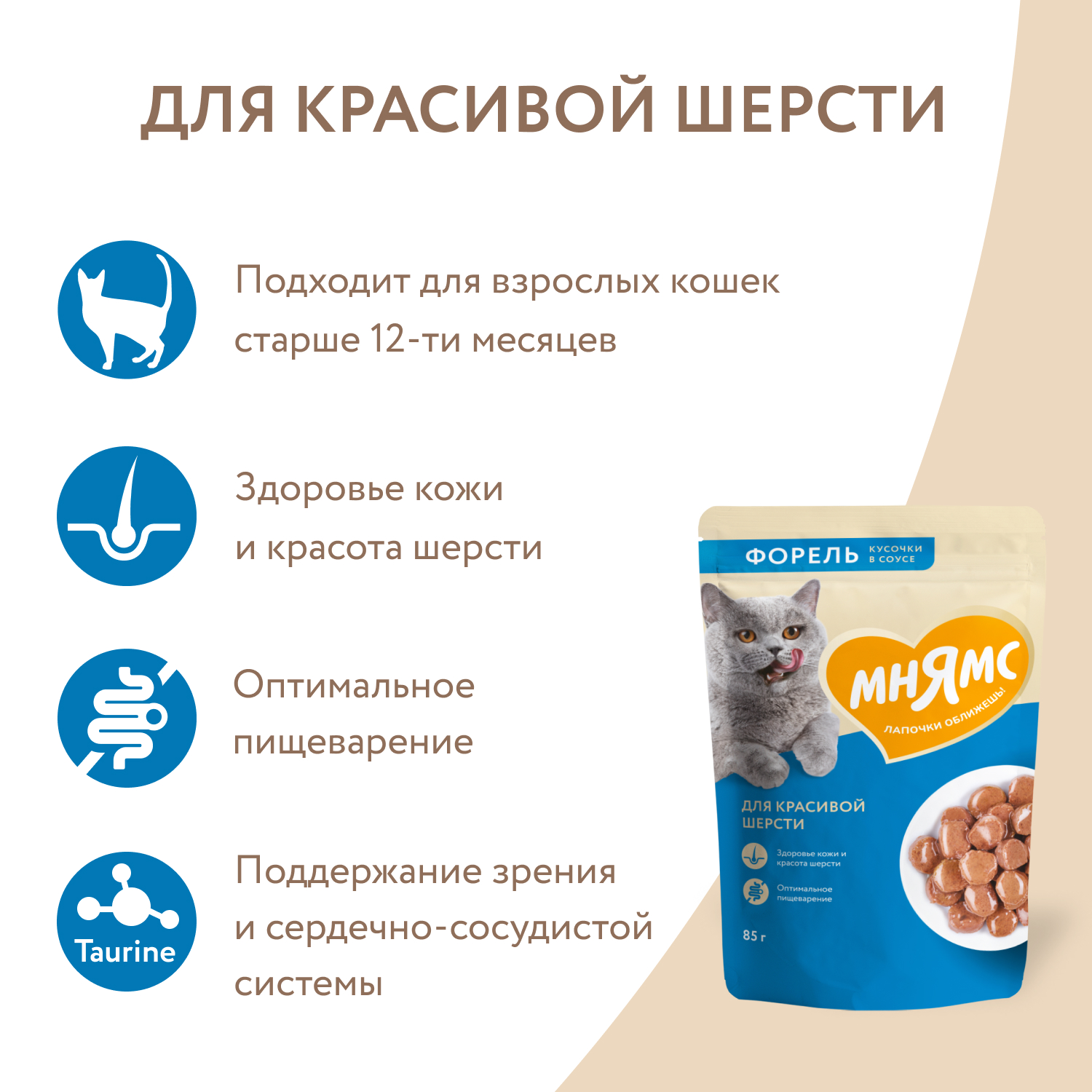 Влажный корм Мнямс На каждый день Кусочки в соусе с форелью для красивой шерсти кошек 85 г