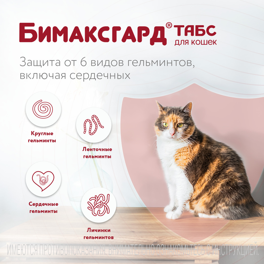 Бимаксгард® ТАБС антигельминтный препарат для крупных кошек, 2 таб.