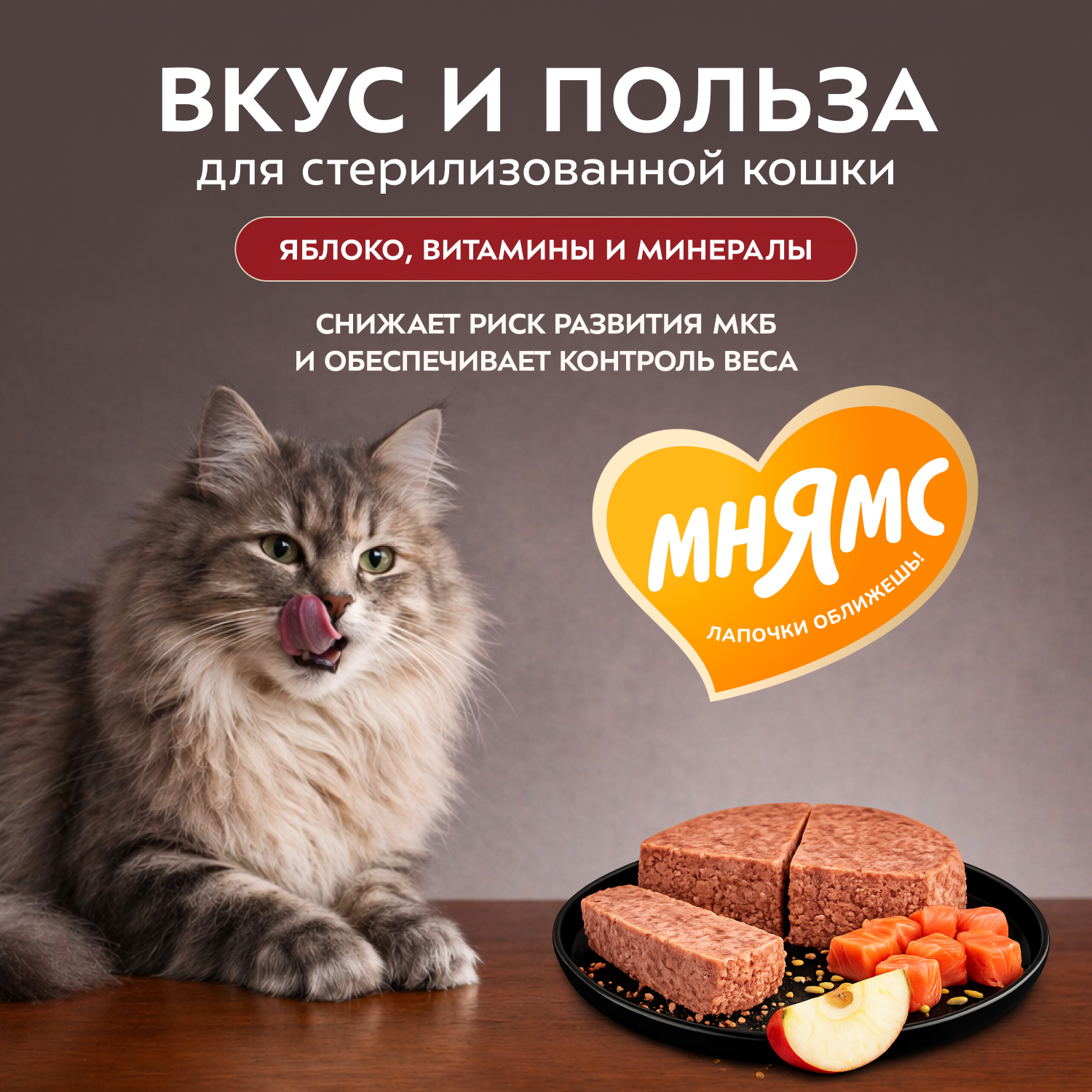Влажный корм Мнямс Деликатес Лосось с яблоком для стерилизованных кошек "Паштет по-норвежски" 100 г