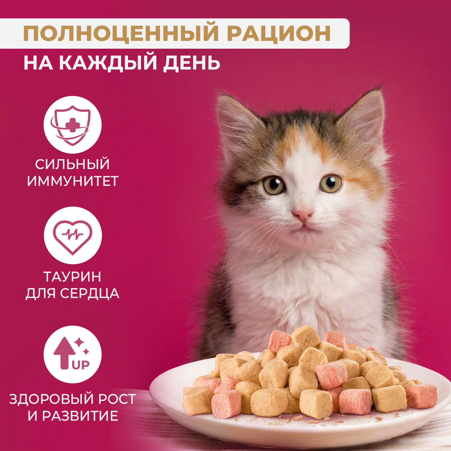 Полнорационный сухой (сублимированный) корм Ranova CN для котят с курицей, 120 г